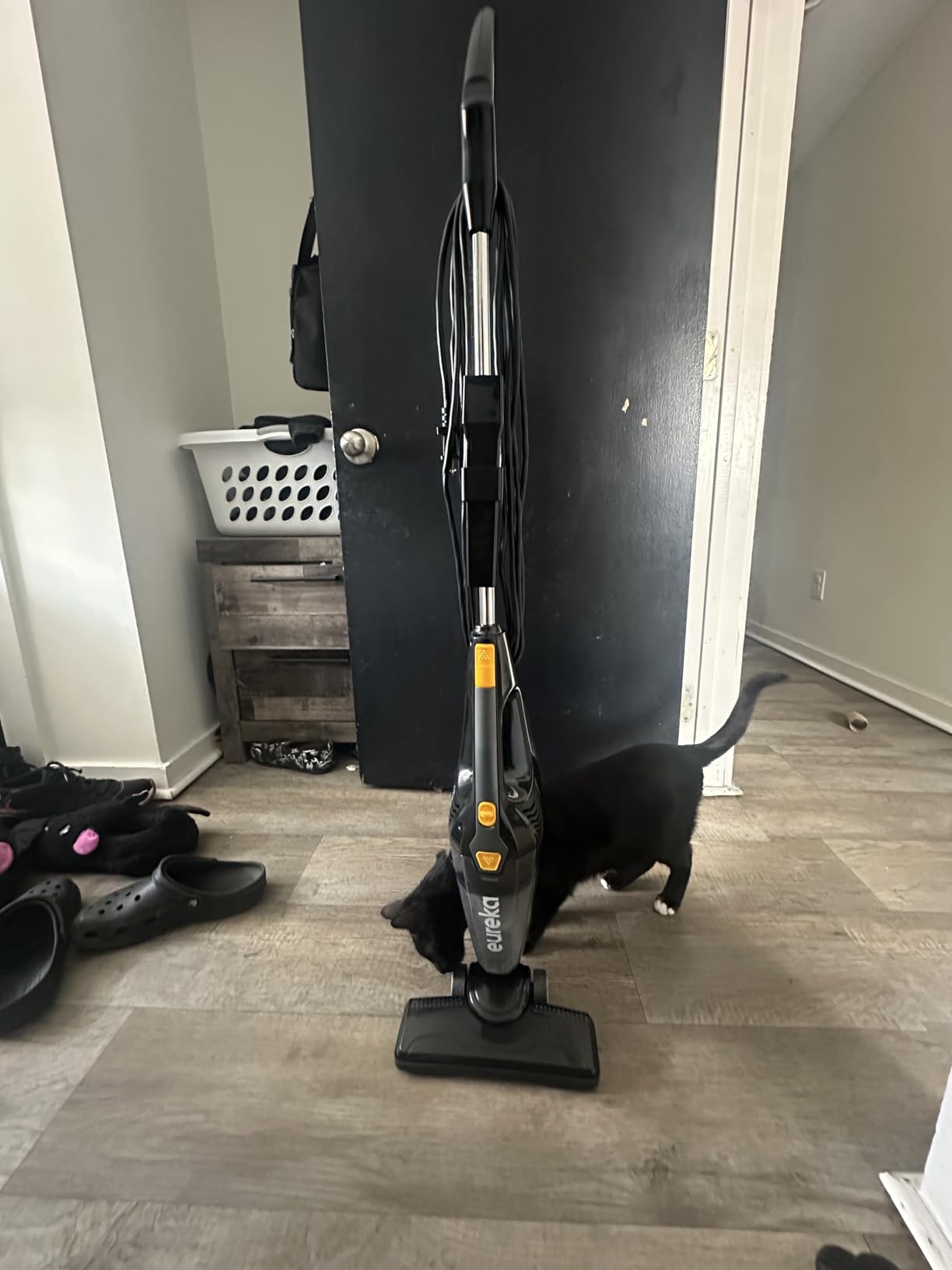 Eureka Corded Stick Vacuum Cleaner for Home Pet Hair, Lightweight Stick Vacuum Cleaner with Powerful Suction for Carpet Tile and Hard Floor, Aqua Blue, 3-in-1 Handheld Vac NES100 Customer Review Eureka Corded Stick Vacuum Cleaner for Home Pet Hair, Lightweight Stick Vacuum Cleaner with Powerful Suction for Carpet Tile and Hard Floor, Aqua Blue, 3-in-1 Handheld Vac NES100 - Customer Photo 3