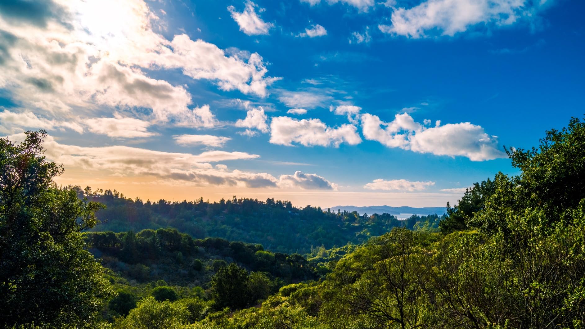 Fujifilm GFX 100S Body - Black Customer Review Fujifilm GFX 100S Body - Black - Customer Photo 1