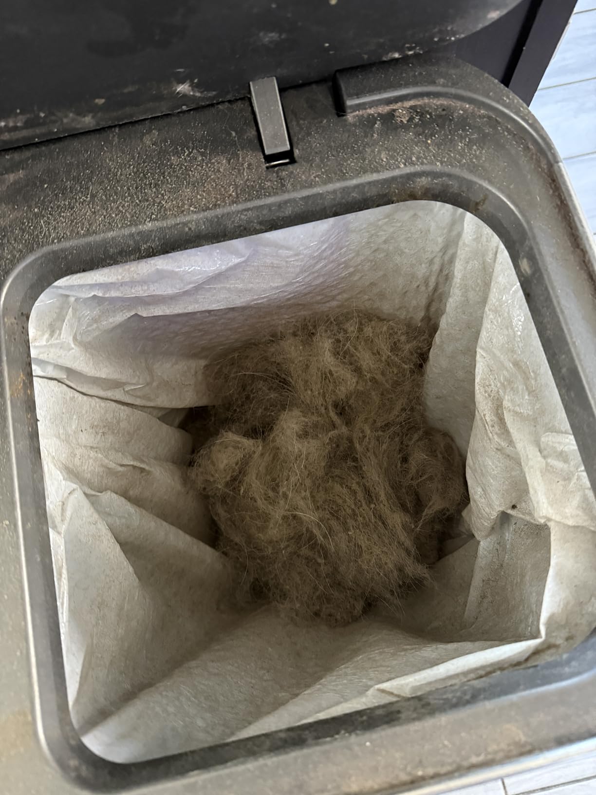 Shark Upright Vacuum, Navigator Lift-Away with Self-Cleaning Brushroll, HEPA Filter, Swivel Steering, Upholstery Tool & Pet Crevice Tool, Perfect for Pets & Multi-Surface, Teal, ZU503AMZ Customer Review Shark Upright Vacuum, Navigator Lift-Away with Self-Cleaning Brushroll, HEPA Filter, Swivel Steering, Upholstery Tool & Pet Crevice Tool, Perfect for Pets & Multi-Surface, Teal, ZU503AMZ - Customer Photo 2