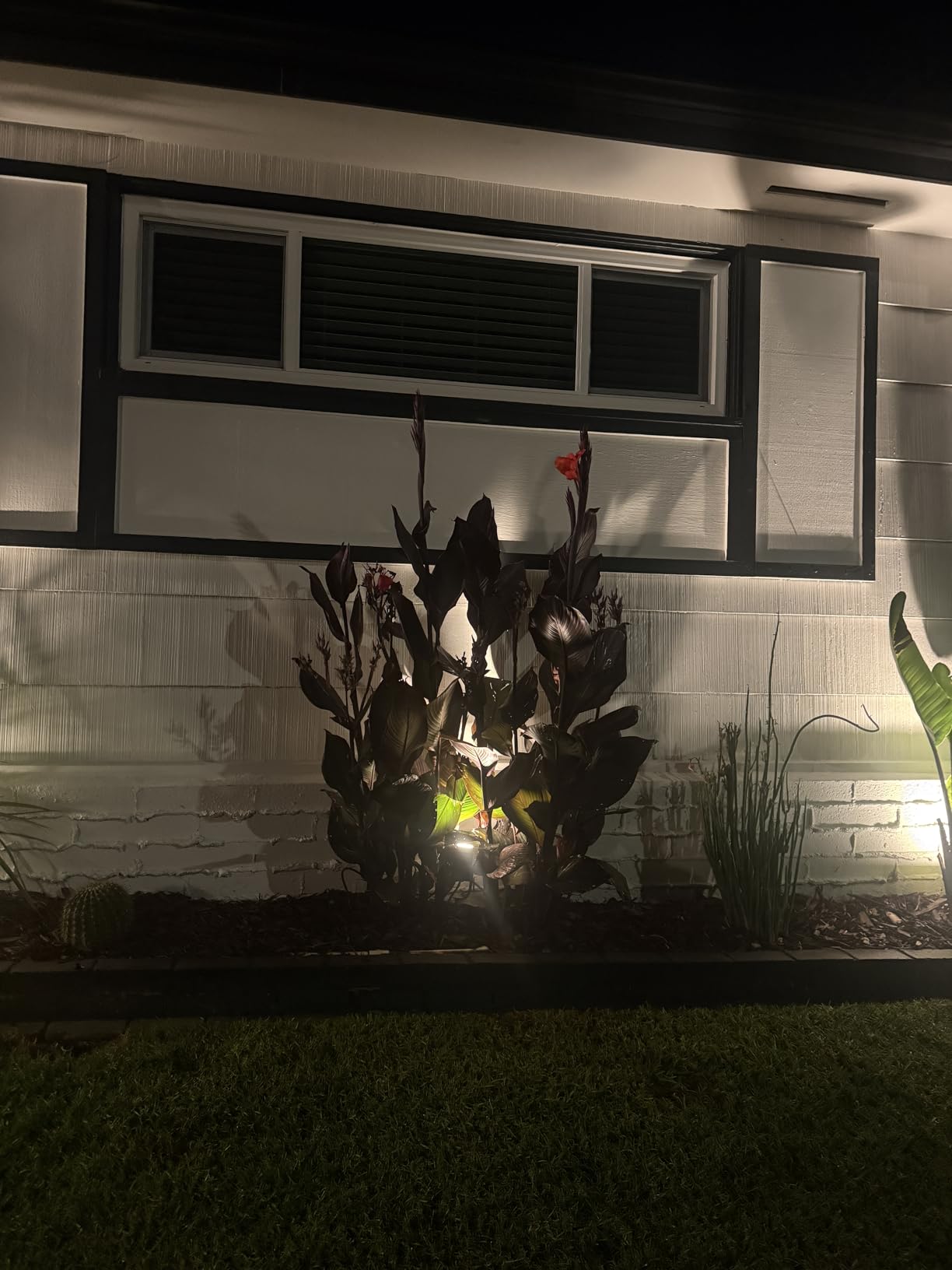 PHILIPS Hue Lily Outdoor Smart Spotlight Base Kit, 3 Pack, White and Color Ambiance LED Walkway Lights, Low Voltage Landscape Lighting, Requires Bridge, Control with App & Voice, Weatherproof - Customer Photo 1