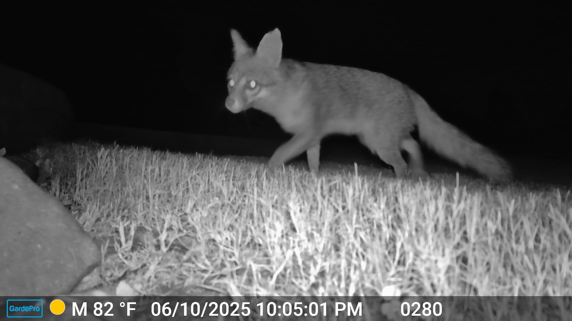 GardePro E6 Trail Camera WiFi 48MP 1296P Game Camera with No Glow Night Vision Motion Activated Waterproof for Wildlife Deer Scouting Hunting or Property Security, Camo Customer Review GardePro E6 Trail Camera WiFi 48MP 1296P Game Camera with No Glow Night Vision Motion Activated Waterproof for Wildlife Deer Scouting Hunting or Property Security, Camo - Customer Photo 2