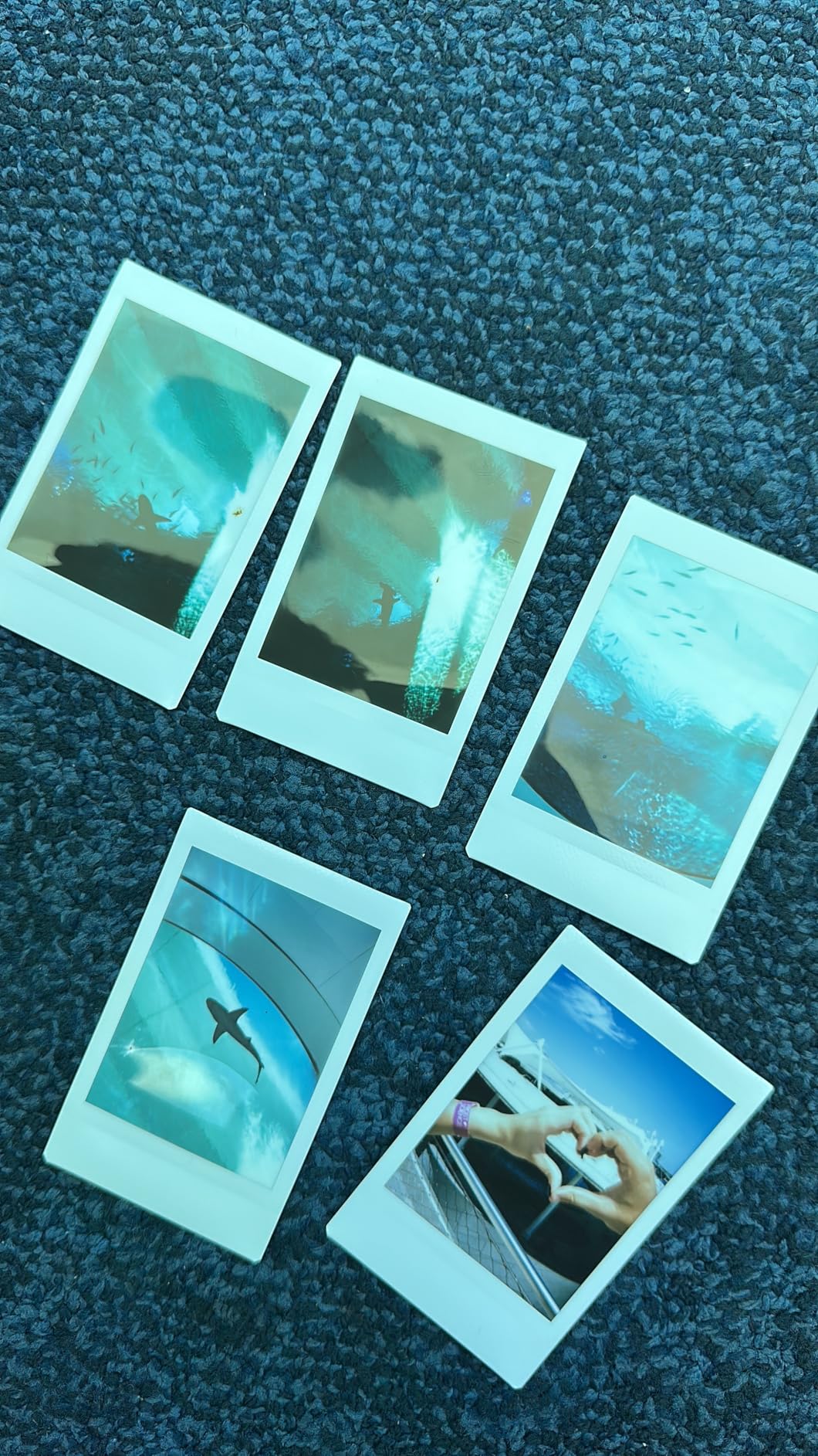 Fujifilm Instax Mini 12 Instant Camera Lilac Purple + Fuji Film Value Pack (40 Sheets) + Shutter Accessories Bundle Customer Review Fujifilm Instax Mini 12 Instant Camera Lilac Purple + Fuji Film Value Pack (40 Sheets) + Shutter Accessories Bundle - Customer Photo 1