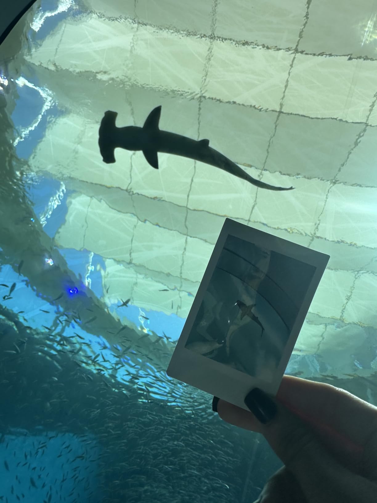 Fujifilm Instax Mini 12 Instant Camera Lilac Purple + Fuji Film Value Pack (40 Sheets) + Shutter Accessories Bundle Customer Review Fujifilm Instax Mini 12 Instant Camera Lilac Purple + Fuji Film Value Pack (40 Sheets) + Shutter Accessories Bundle - Customer Photo 2