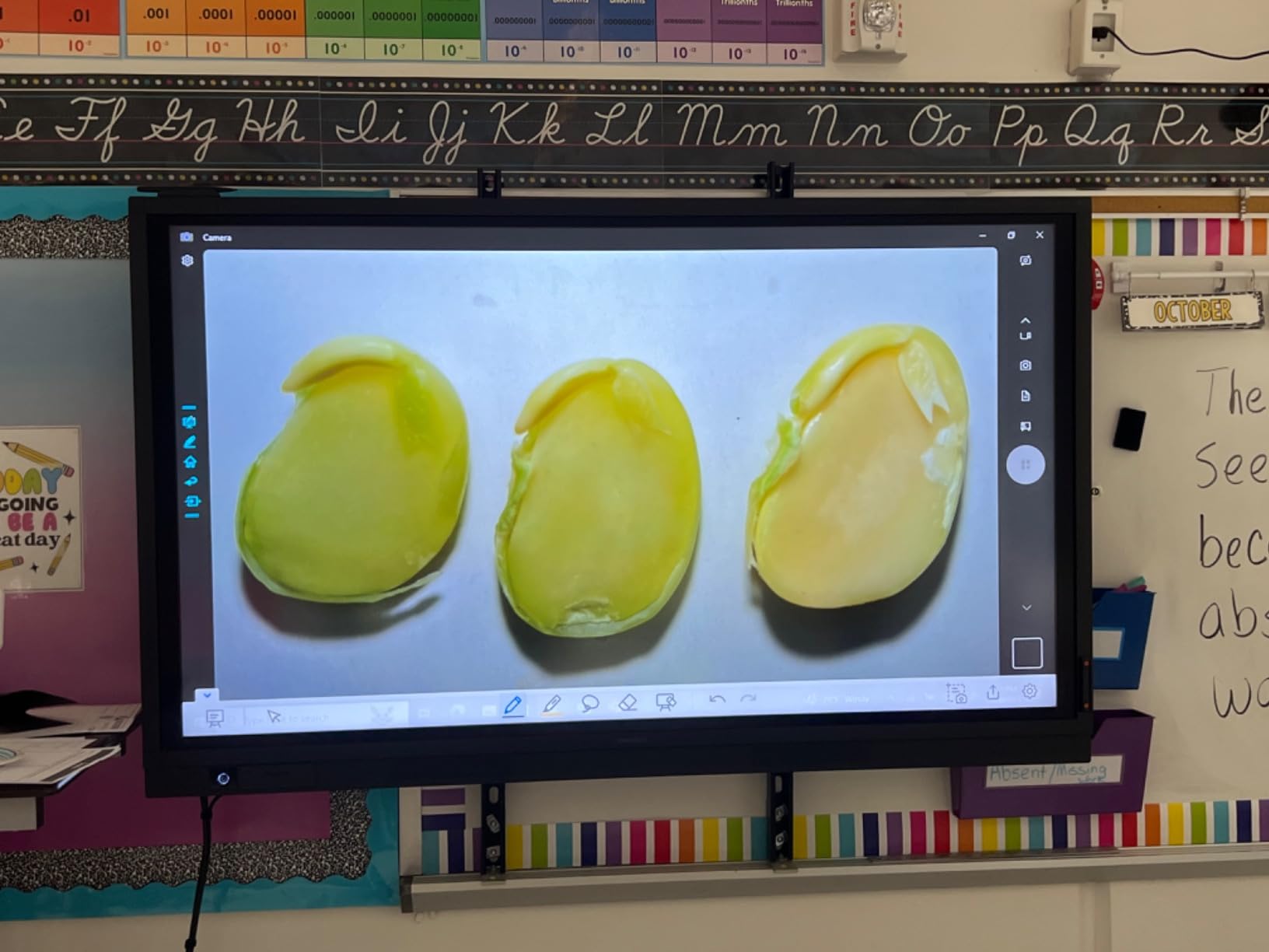 INSWAN INS‑2 4K USB Document Camera – 13MP, Dual Auto‑Focus, LED Light and Microphone, Plug & Play, Mac, Windows, iPad, Chromebook, A3 Capture – Ideal for Teachers and Classrooms Customer Review INSWAN INS‑2 4K USB Document Camera – 13MP, Dual Auto‑Focus, LED Light and Microphone, Plug & Play, Mac, Windows, iPad, Chromebook, A3 Capture – Ideal for Teachers and Classrooms - Customer Photo 1