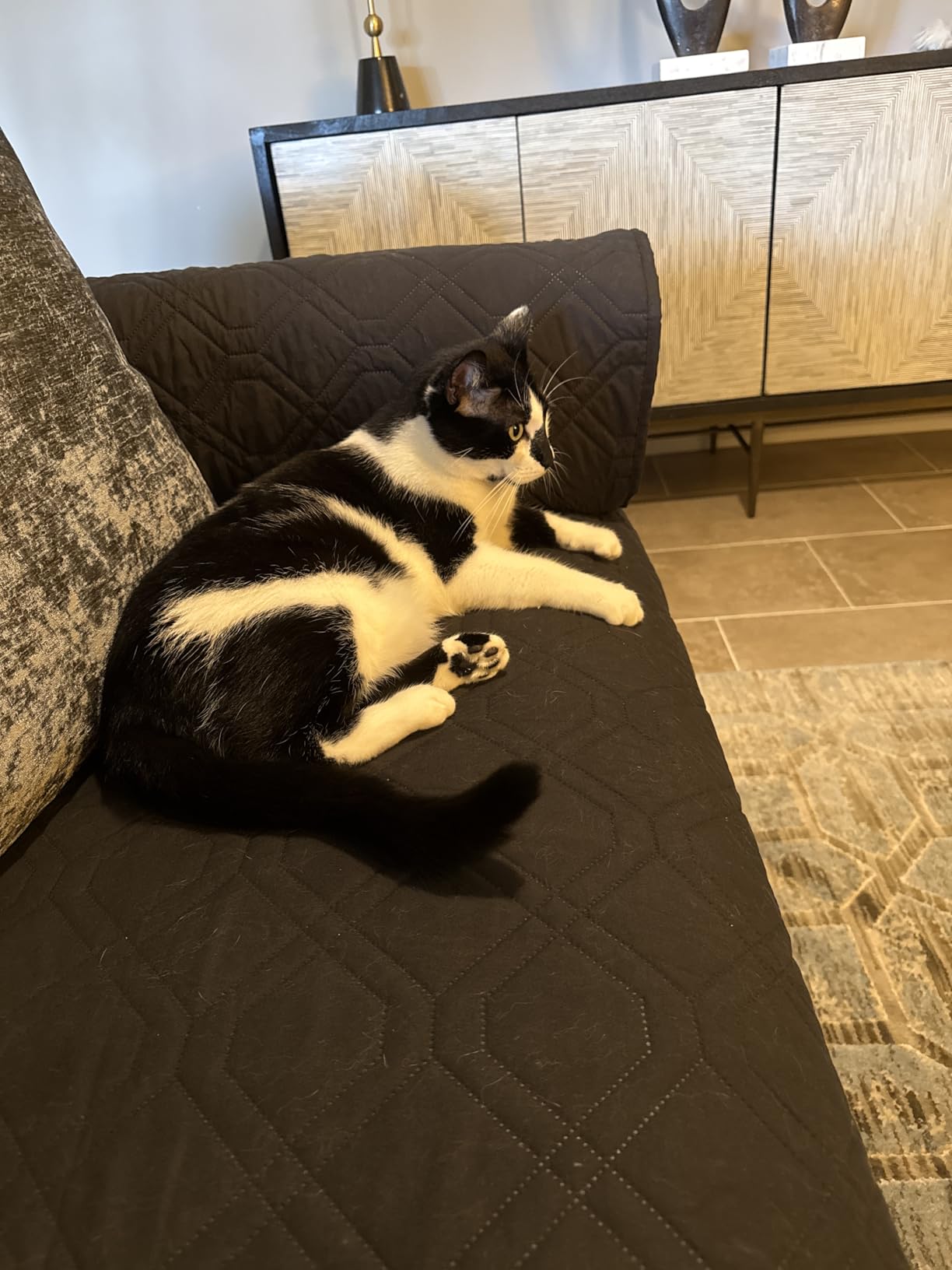 Eureka PowerSpeed Lightweight Upright Vacuum Cleaner for Carpet and Hard Floor, Powerful Bagless Upright Vacuum Cleaner for Home Pets, NEU181A, Blue Customer Review Eureka PowerSpeed Lightweight Upright Vacuum Cleaner for Carpet and Hard Floor, Powerful Bagless Upright Vacuum Cleaner for Home Pets, NEU181A, Blue - Customer Photo 1