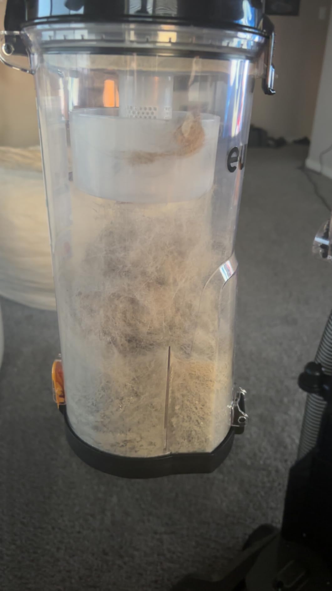 Eureka PowerSpeed Lightweight Upright Vacuum Cleaner for Carpet and Hard Floor, Powerful Bagless Upright Vacuum Cleaner for Home Pets, NEU181A, Blue - Customer Photo 5