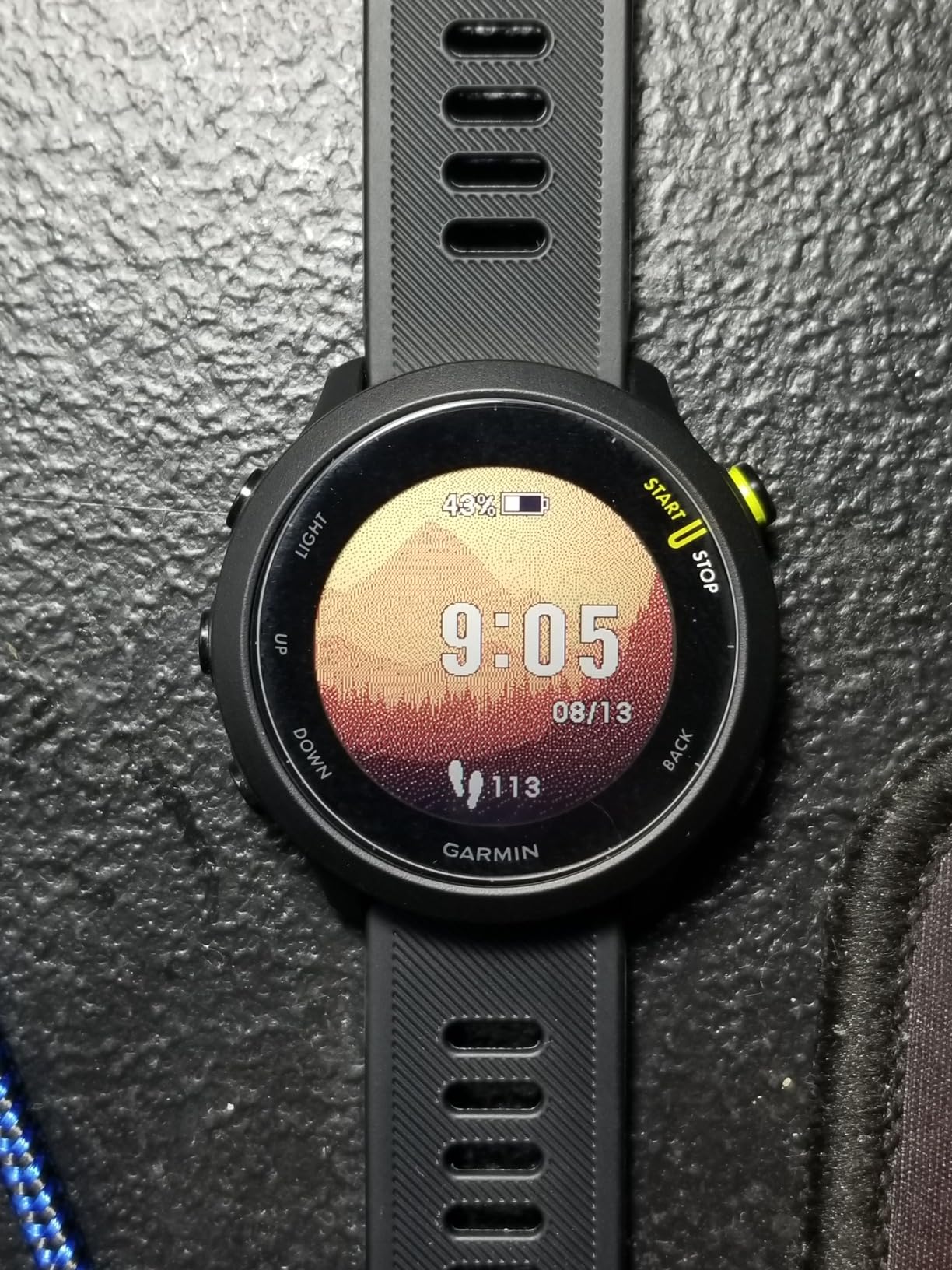 Garmin Forerunner 55, GPS Running Watch with Daily Suggested Workouts, Up to 2 Weeks of Battery Life, Black - 010-02562-00 - Customer Photo 2
