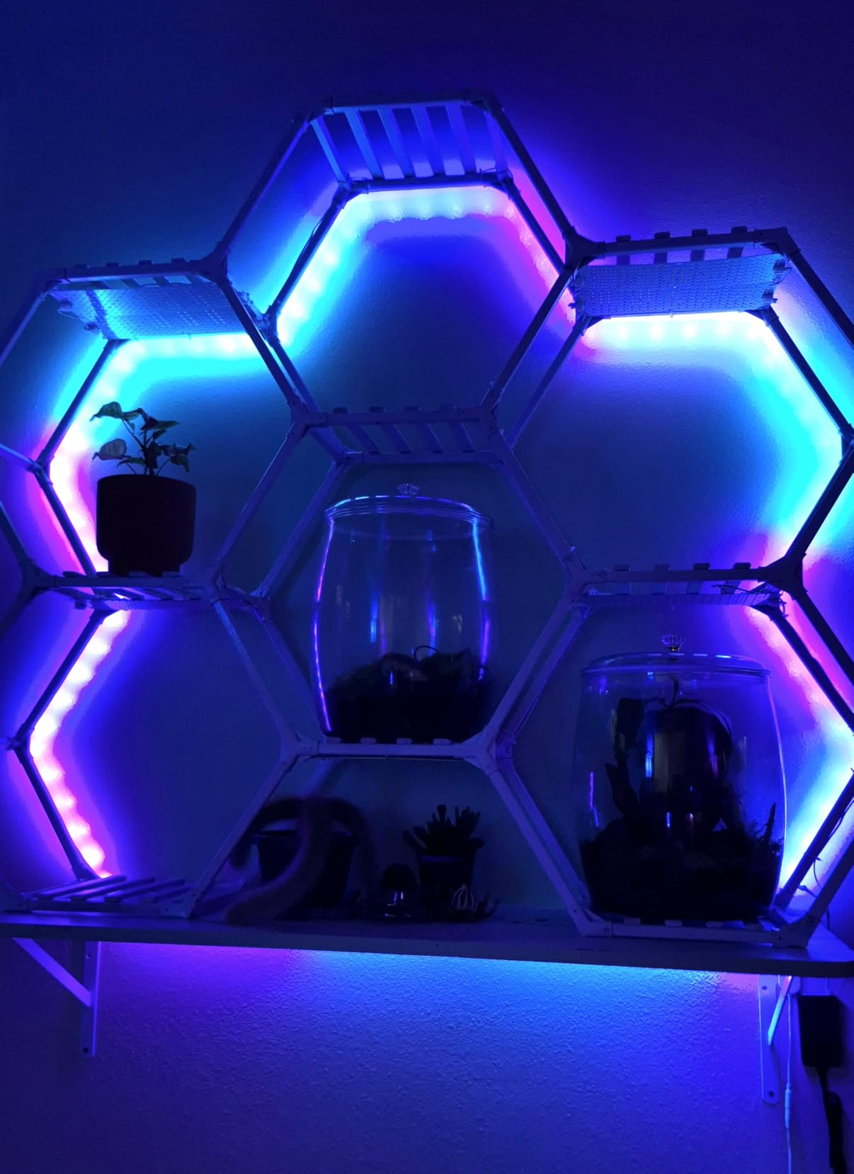 Govee RGBIC LED Strip Lights, Smart LED Lights for Bedroom, Bluetooth LED Lights APP Control, DIY Multiple Colors on One Line, Color Changing LED Strip Lighting Music Sync, Home Decor, 16.4ft - Customer Photo 2