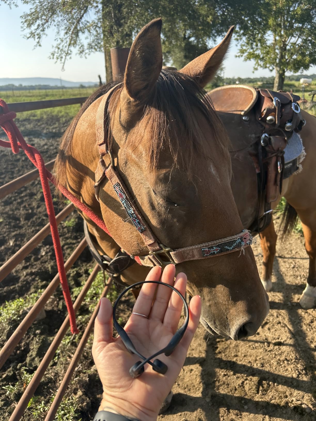 SHOKZ OpenRun - Open-Ear Bluetooth Bone Conduction Sport Headphones, Sweat Resistant Wireless Earphones for Workouts and Running, Built-in Mic, with Hair Band, Black Customer Review SHOKZ OpenRun - Open-Ear Bluetooth Bone Conduction Sport Headphones, Sweat Resistant Wireless Earphones for Workouts and Running, Built-in Mic, with Hair Band, Black - Customer Photo 1