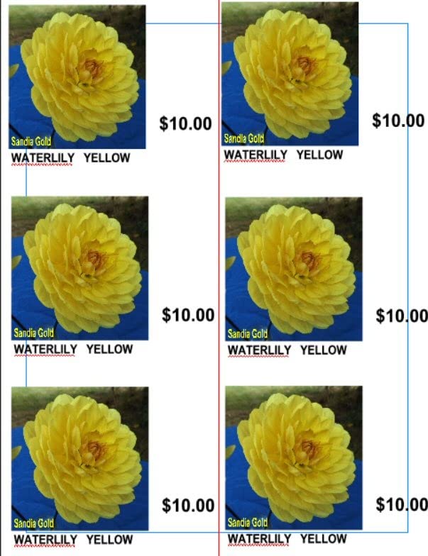 Xerox C230/DNI Color Printer, Laser, Wireless - Customer Photo 1