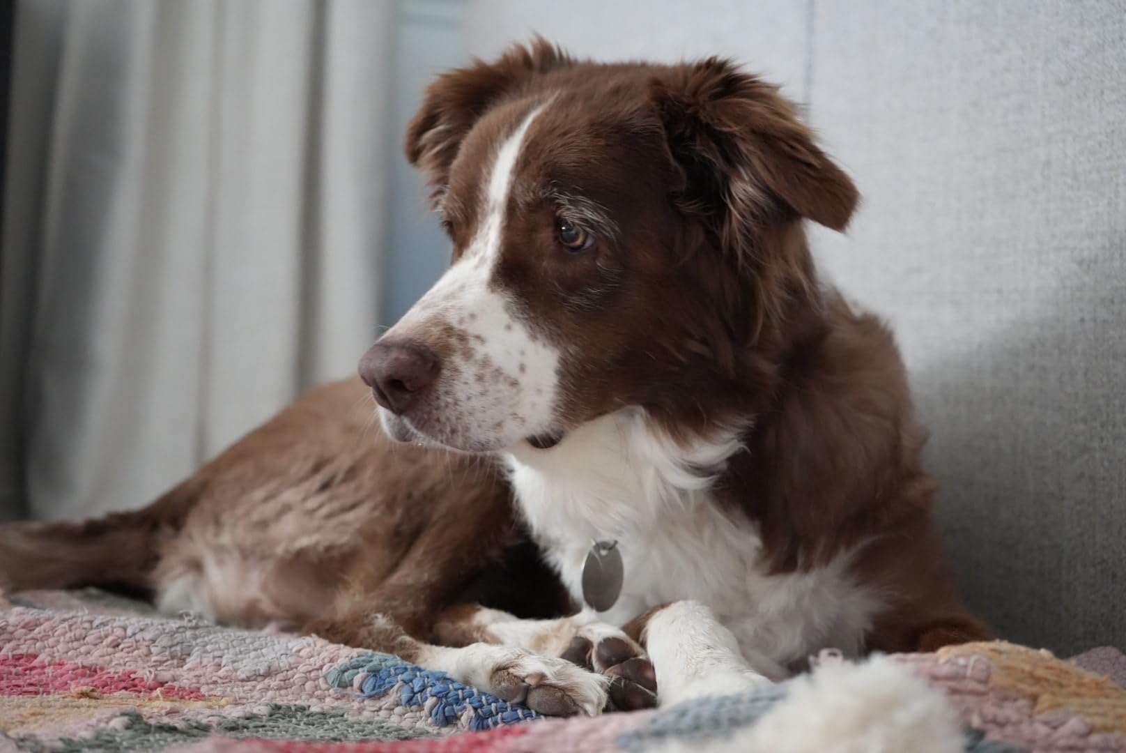 Sony Alpha 7 IV Full-frame Mirrorless Interchangeable Lens Camera Customer Review Sony Alpha 7 IV Full-frame Mirrorless Interchangeable Lens Camera - Customer Photo 1