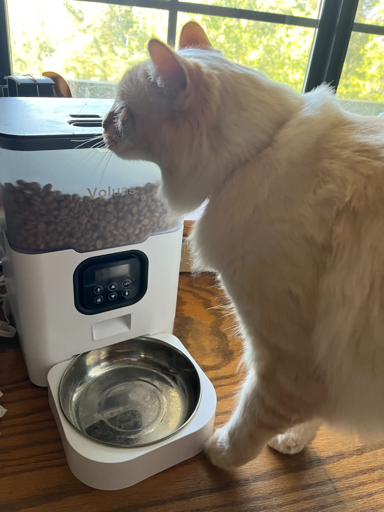 VOLUAS Automatic Cat Feeders - Timed Pet Feeder for Cats and Dogs with Dry Food Dispenser, Desiccant Bag, Programmable Portion Control, 4 Daily Meals, 10s Voice Recorder - Customer Photo 5