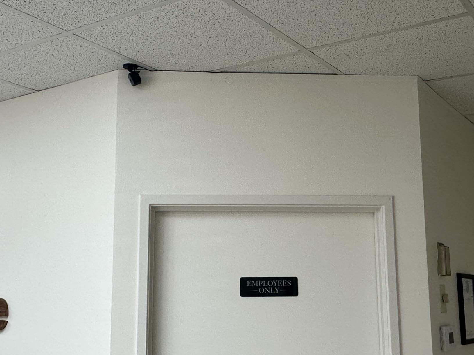 Blink Mini - Compact indoor plug-in smart security camera, 1080p HD video, night vision, motion detection, two-way audio, easy set up, Works with Alexa – 1 camera (Black) - Customer Photo 1