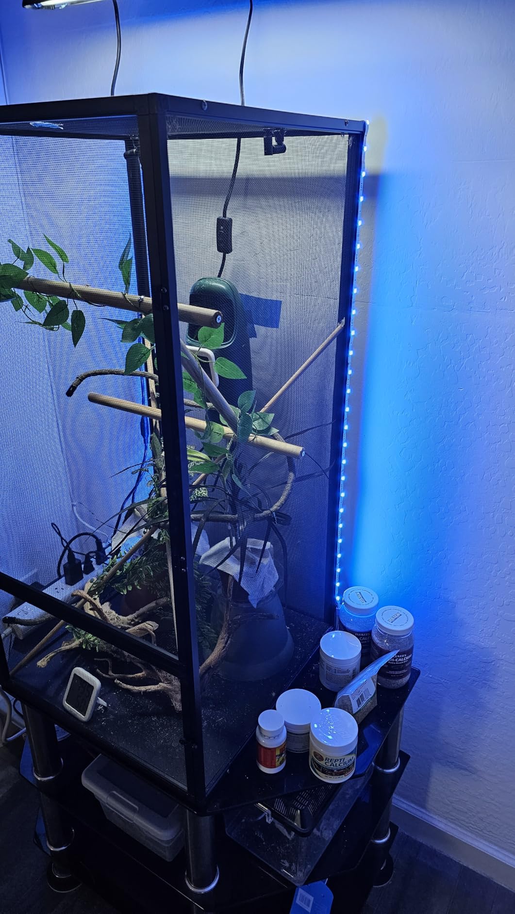 Kasa Smart LED Light Strip, RGB, 32.8ft(2 Rolls of 16.4ft.) Wi-Fi LED Strip Works w/ Alexa & Google Assistant,High Brightness, Trimmable, Up to 25,000 Hours,2Yr Warranty (KL400L10),Multicolor - Customer Photo 2