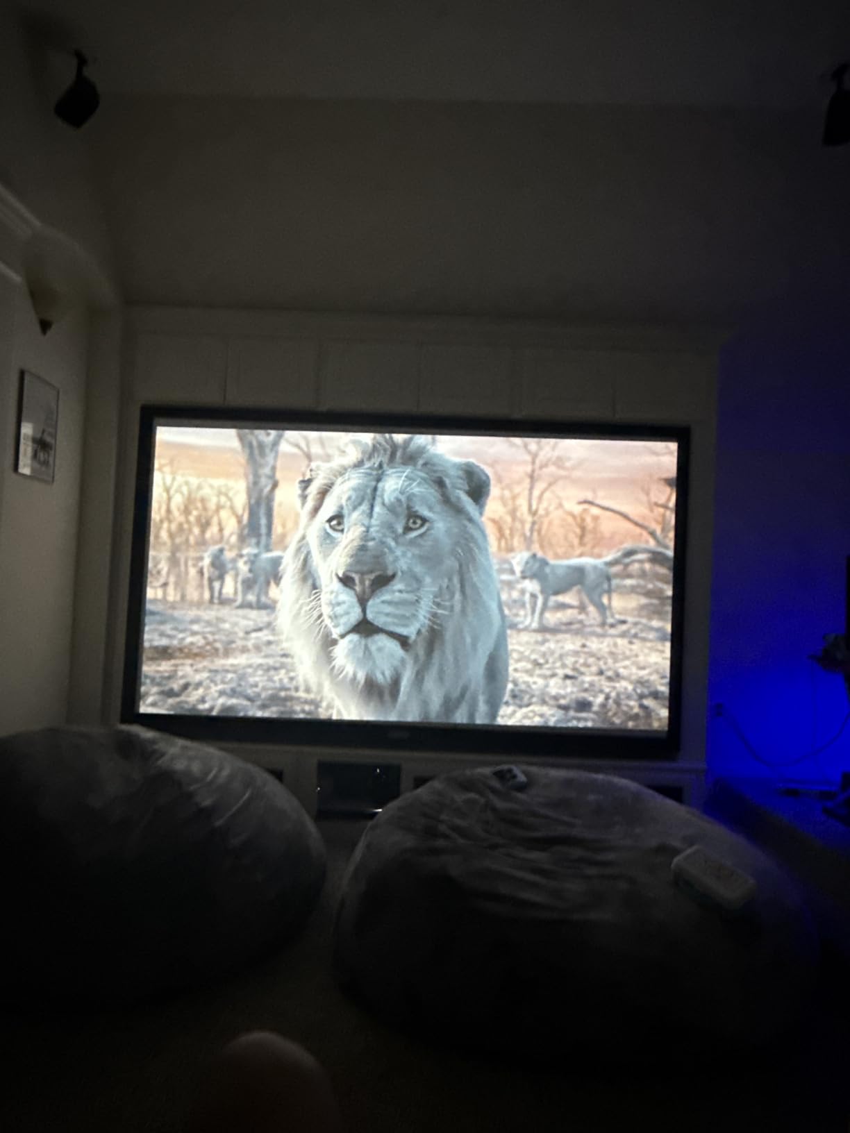 BenQ TH685P | 1080p Gaming Projector | 4K Supported | 120hz Refresh Rate | 3500 Lumens | 8.3ms Low Latency | Enhanced Game Mode | Auto Keystone | Built in speaker | 3 Year Industry Leading Warranty - Customer Photo 1