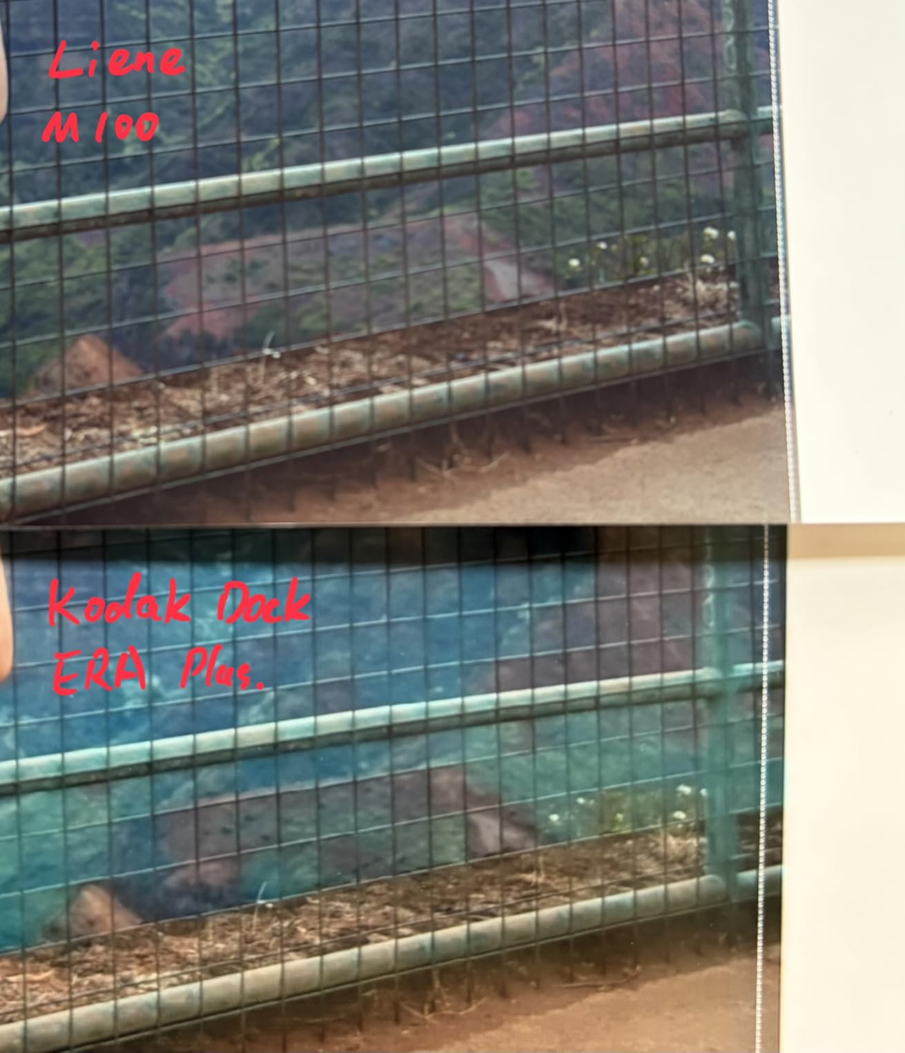 Liene M100 4x6'' Photo Printer, Phone Printer 100 Sheets & 3 Cartridges, Full-Color Photo, Portable Instant Photo Printer for iPhone Android, Thermal Dye Sublimation, Wi-Fi Picture Printer 100 Papers - Customer Photo 1