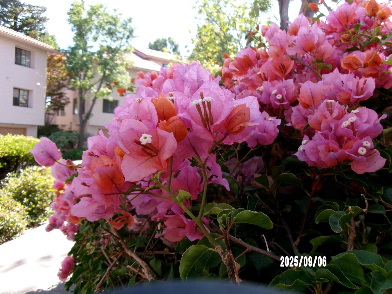 KODAK PIXPRO FZ55-RD 16MP Digital Camera 5X Optical Zoom 28mm Wide Angle 1080P Full HD Video 2.7 KODAK PIXPRO FZ55-RD 16MP Digital Camera 5X Optical Zoom 28mm Wide Angle 1080P Full HD Video 2.7