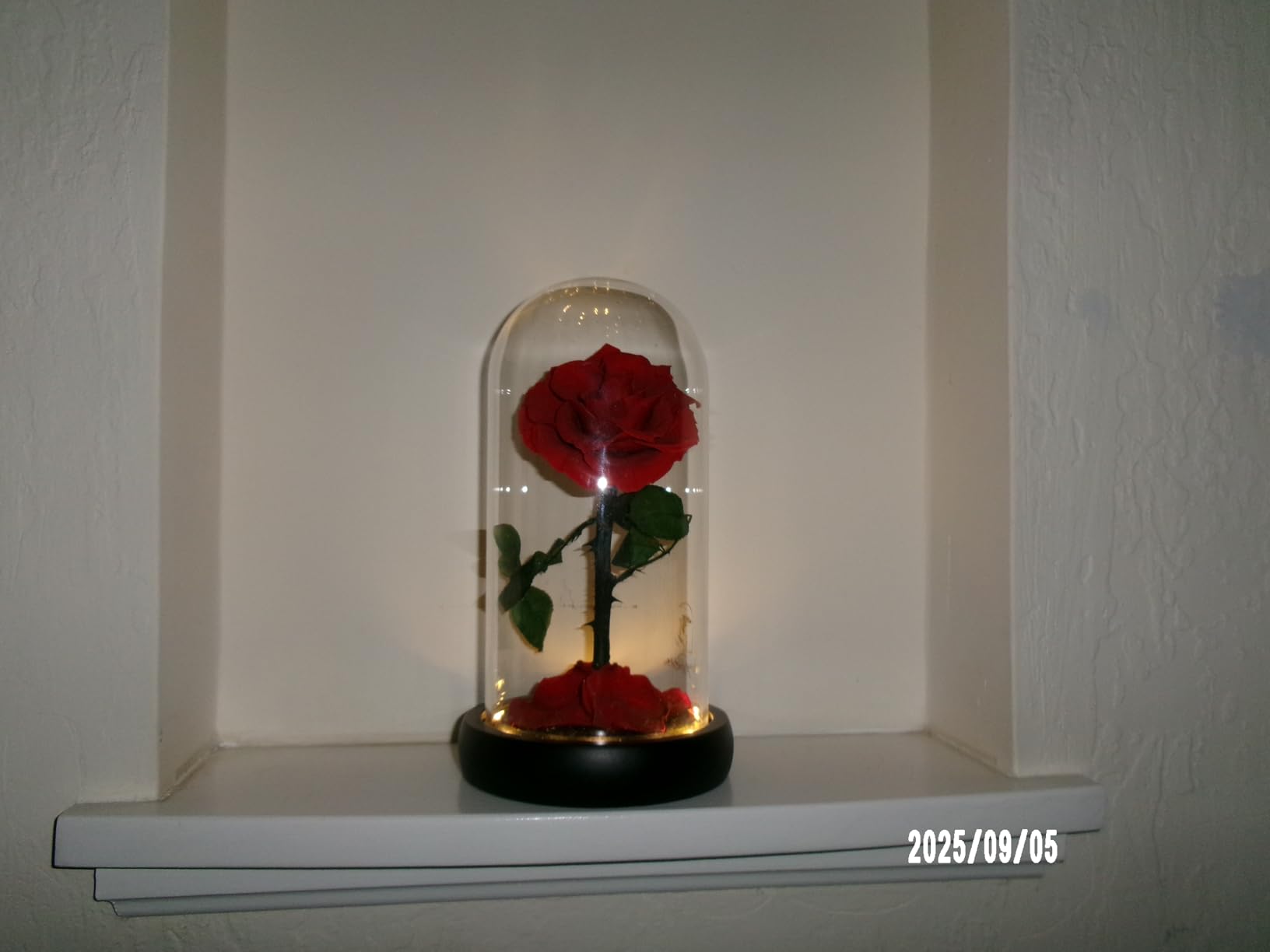 KODAK PIXPRO FZ55-RD 16MP Digital Camera 5X Optical Zoom 28mm Wide Angle 1080P Full HD Video 2.7 KODAK PIXPRO FZ55-RD 16MP Digital Camera 5X Optical Zoom 28mm Wide Angle 1080P Full HD Video 2.7