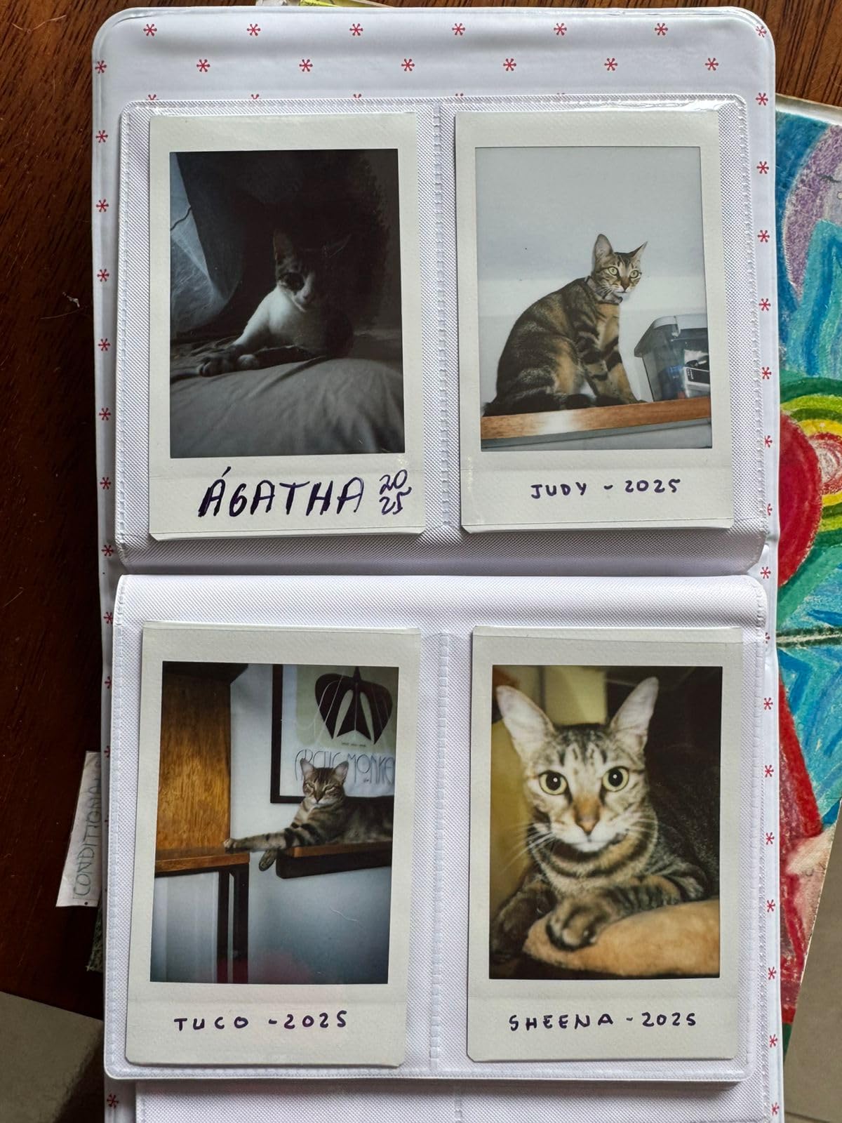 Fujifilm Instax Mini 41 Instant Camera Vintage Black + Fujifilm Value Pack (40 Sheets) + Shutter Accessories Bundle Customer Review Fujifilm Instax Mini 41 Instant Camera Vintage Black + Fujifilm Value Pack (40 Sheets) + Shutter Accessories Bundle - Customer Photo 1