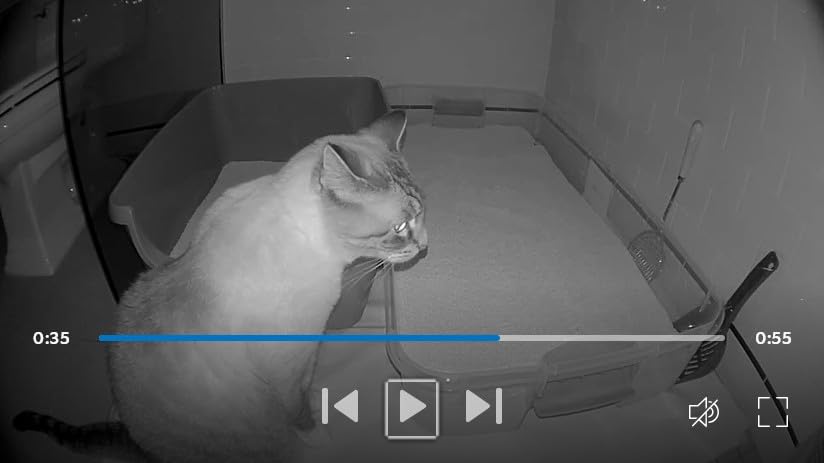 Ring Indoor Cam — Home or business security in 1080p HD video, White - Customer Photo 1