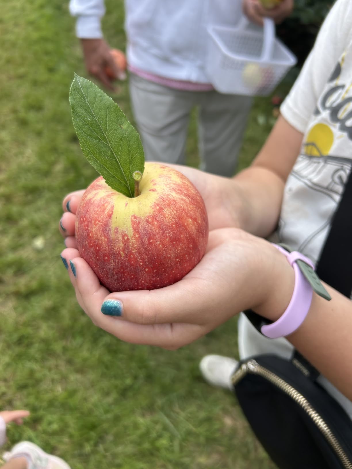 Fitbit Inspire 3 Fitness Tracker – Advanced Health Insights with Stress Management, Workout Intensity & Sleep Tracking, 24/7 Heart Rate, Includes Small and Large Classic Bands - Midnight Zen/Black - Customer Photo 1