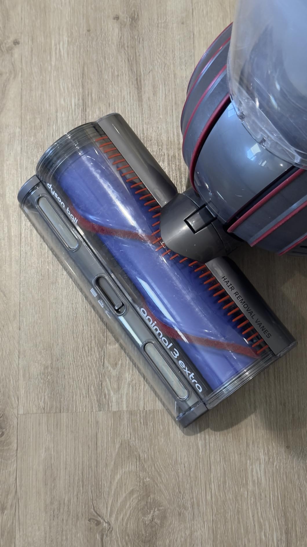 Dyson Ball Animal 3 Upright Vacuum, Corded, 290AW, De-tangling Motorbar Cleaner Head for All Floors, 3 Suction Modes - Customer Photo 1