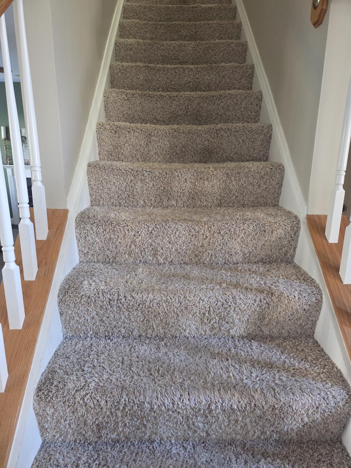 BISSELL ProHeat 2X Revolution Pet Pro Plus, 3588F, Upright Deep Cleaner, 30-minute Dry Time, Dual Dirt Lifter Powerbrush, Hose & Tool Attachment, Pet Upholstery and Tough Stain Tool Included Customer Review BISSELL ProHeat 2X Revolution Pet Pro Plus, 3588F, Upright Deep Cleaner, 30-minute Dry Time, Dual Dirt Lifter Powerbrush, Hose & Tool Attachment, Pet Upholstery and Tough Stain Tool Included - Customer Photo 2