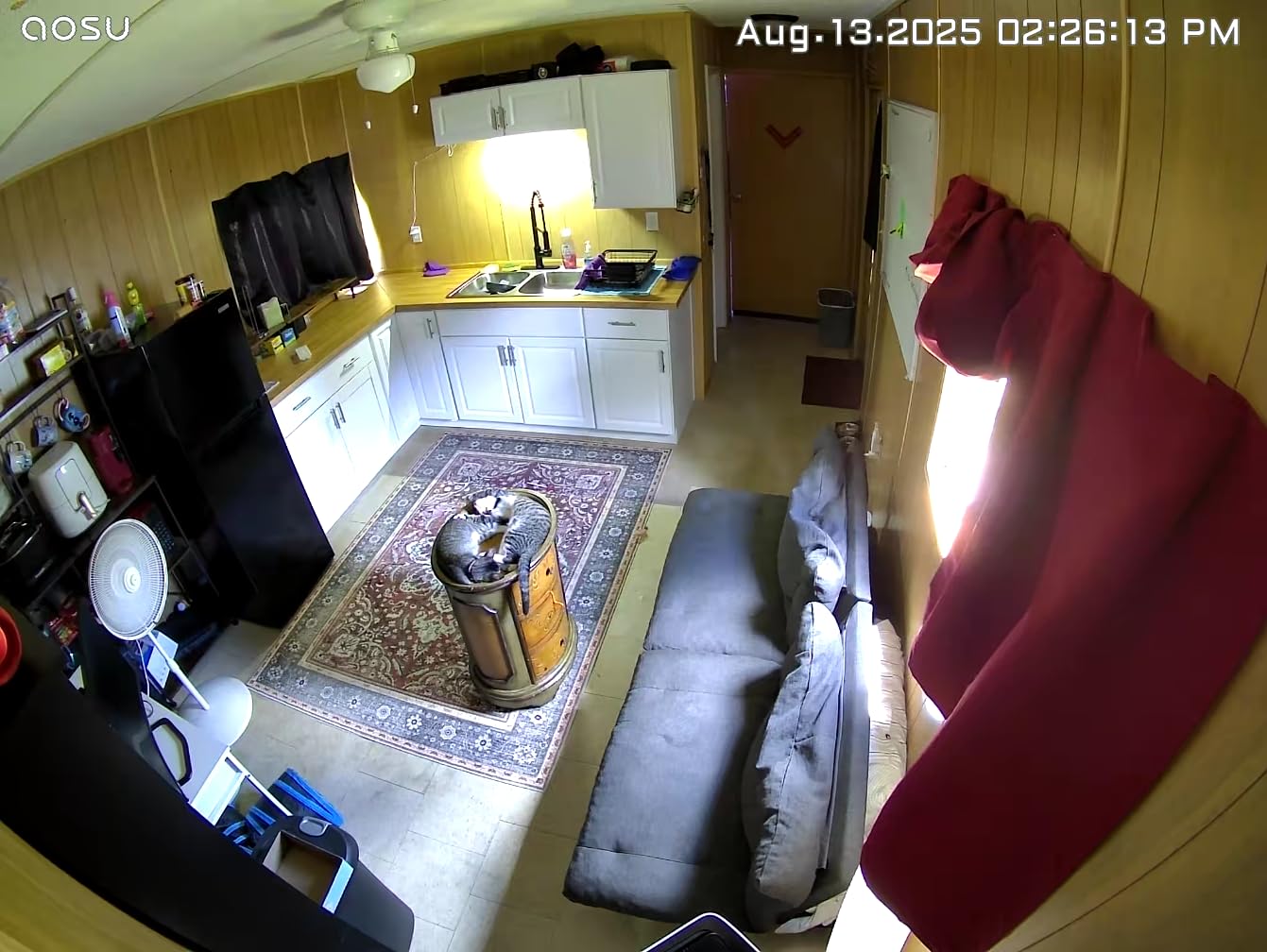 AOSU Solar Security Cameras Wireless Outdoor, 2K QHD Home Security System, 2 Cameras Kit with 166° Ultra-Wide View, Forever Power, Spotlight Camera, 32G Local Storage, No Monthly Fee Customer Review AOSU Solar Security Cameras Wireless Outdoor, 2K QHD Home Security System, 2 Cameras Kit with 166° Ultra-Wide View, Forever Power, Spotlight Camera, 32G Local Storage, No Monthly Fee - Customer Photo 2