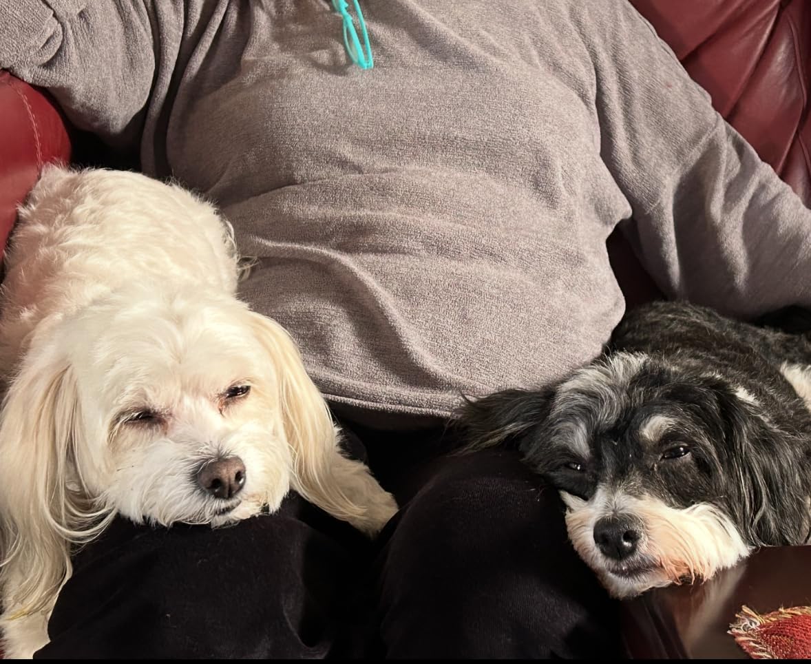 oneisall Dog Grooming Vacuum, Pet Grooming Vacuum with Clipper Nail Grinder, 1.5L Dust Cup Dog deshedding Vacuum Brush with 7 Pet Grooming Tools for Shedding Pet Hair, Home Cleaning(Blue) - Customer Photo 1