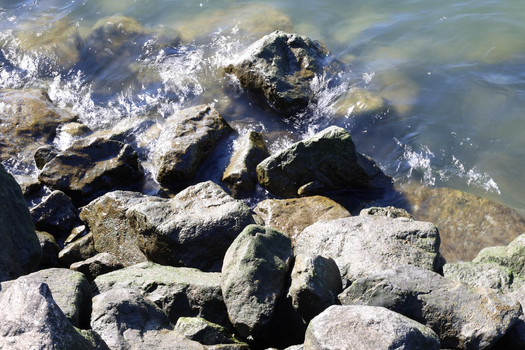 Canon EOS R6 Mark II Mirrorless Camera RF24-105mm F4-7.1 is STM Lens Kit, Full-Frame Hybrid Camera, 24.2 Megapixel CMOS Sensor, Photo and Video Capabilities, Black Customer Review Canon EOS R6 Mark II Mirrorless Camera RF24-105mm F4-7.1 is STM Lens Kit, Full-Frame Hybrid Camera, 24.2 Megapixel CMOS Sensor, Photo and Video Capabilities, Black - Customer Photo 2