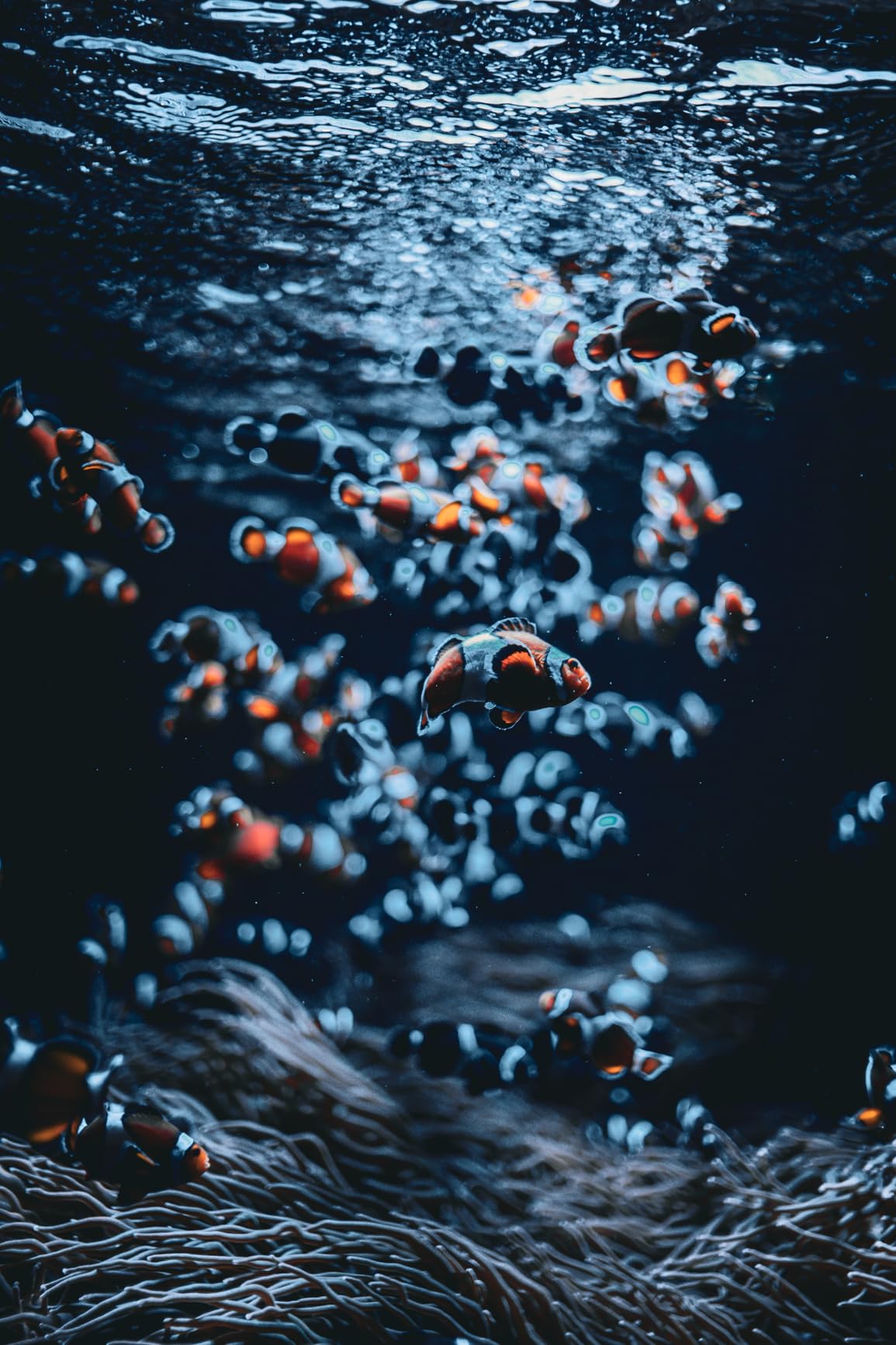 Canon EOS R6 Mark II Mirrorless Camera (Body Only), Full-Frame Camera, 24.2 Megapixel CMOS Sensor, Photo and Video Capabilities, Black Customer Review Canon EOS R6 Mark II Mirrorless Camera (Body Only), Full-Frame Camera, 24.2 Megapixel CMOS Sensor, Photo and Video Capabilities, Black - Customer Photo 2