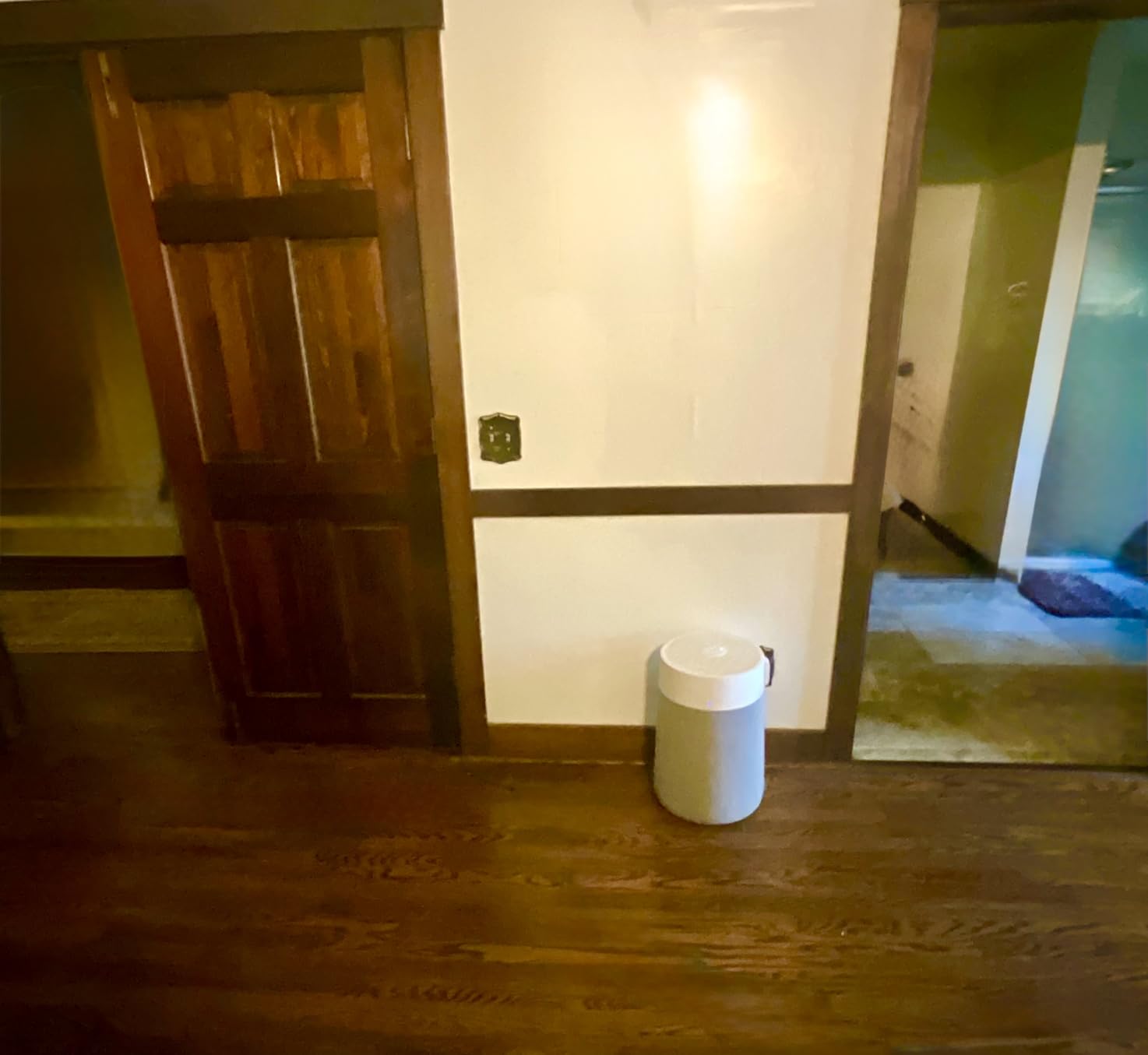 BLUEAIR Air Purifiers for Large Rooms, Cleans 3,048 Sqft In One Hour, HEPASilent Smart Air Cleaner For Home, Pets, Allergies, Virus, Dust, Mold, Smoke - Blue Pure 211i Max - Customer Photo 1