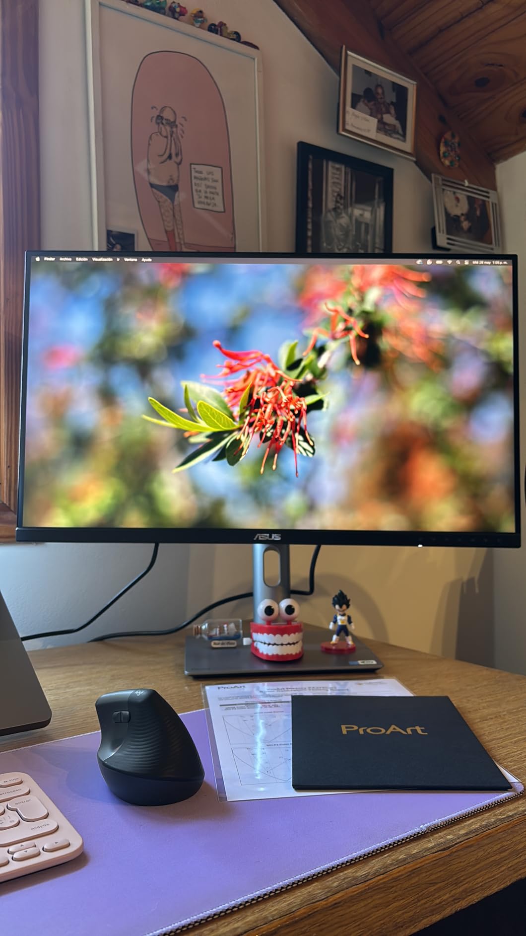 ASUS ProArt Display 27