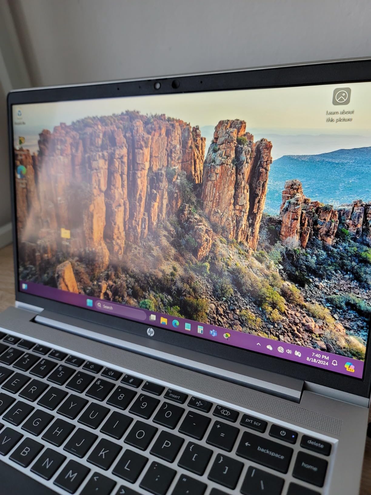 HP ProBook 450 G10 Business Laptop (15.6