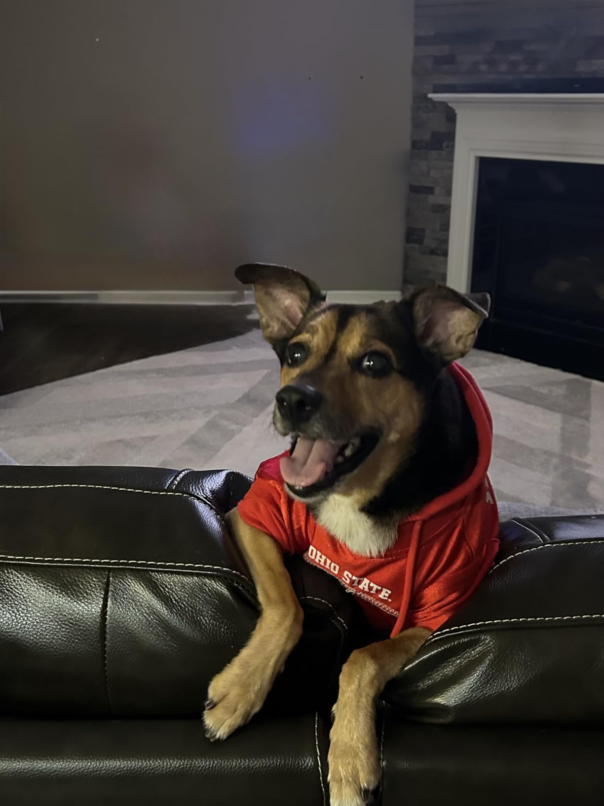 Furbo 360° Dog Camera - Unlock with Paid Plan: Home Security & Dog Safety Alerts, Rotating Pet Treat Dispenser w/ 2-Way Speaker, Smart Indoor Cam w/Phone App (3mo Minimum Subscription Required) Customer Review Furbo 360° Dog Camera - Unlock with Paid Plan: Home Security & Dog Safety Alerts, Rotating Pet Treat Dispenser w/ 2-Way Speaker, Smart Indoor Cam w/Phone App (3mo Minimum Subscription Required) - Customer Photo 2