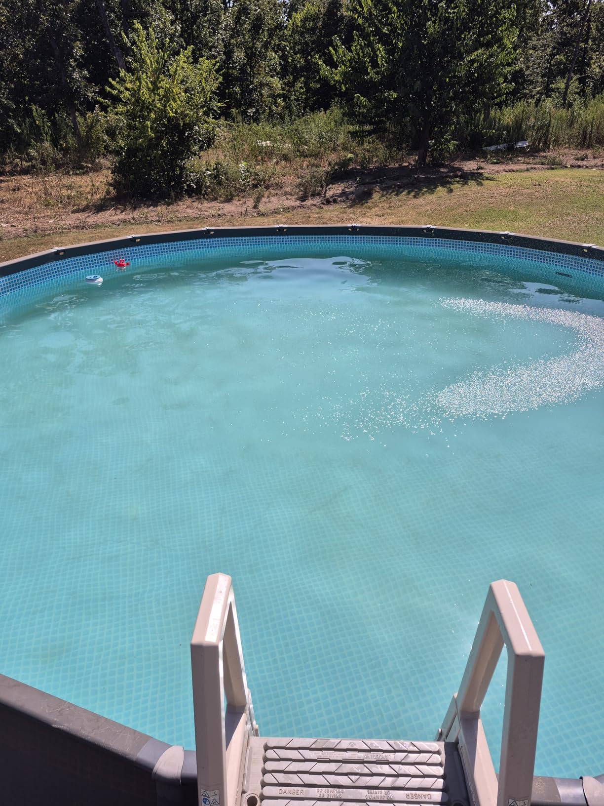 Pool Vacuum for Above Ground Pool with a Telescopic Pole, Running time up to 1H, T403 Handheld Rechargeable Pool Cleaner with Powerful Suction up to 18.5 gallons/min, Ideal for Leaves, Debris - Customer Photo 2