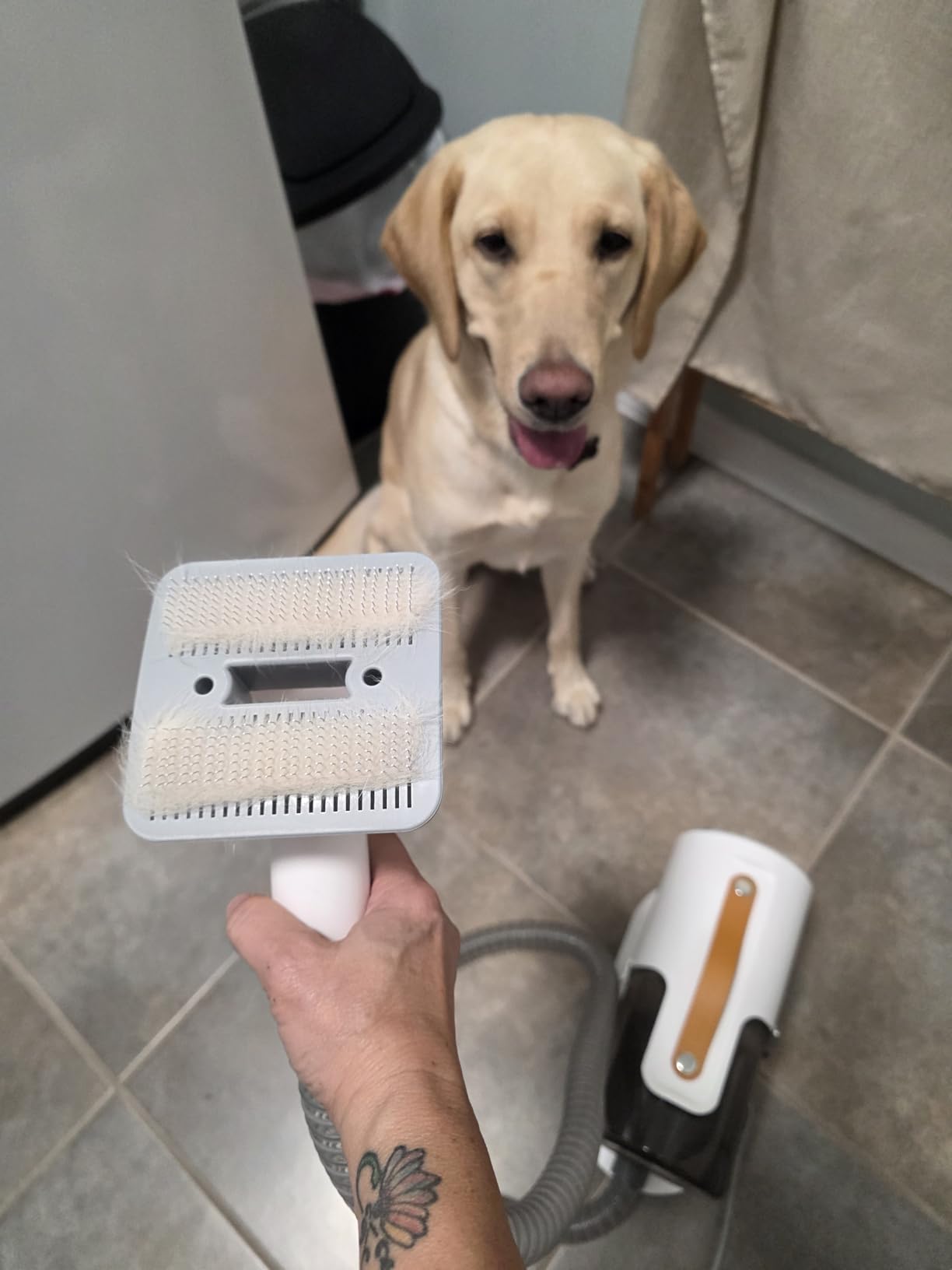 AIRROBO Dog Grooming Vacuum Kit,12000Pa Strong Pet Vacuum for Shedding,Grooming Hai,Quiet,PG100,2L Large Capacity - Customer Photo 1