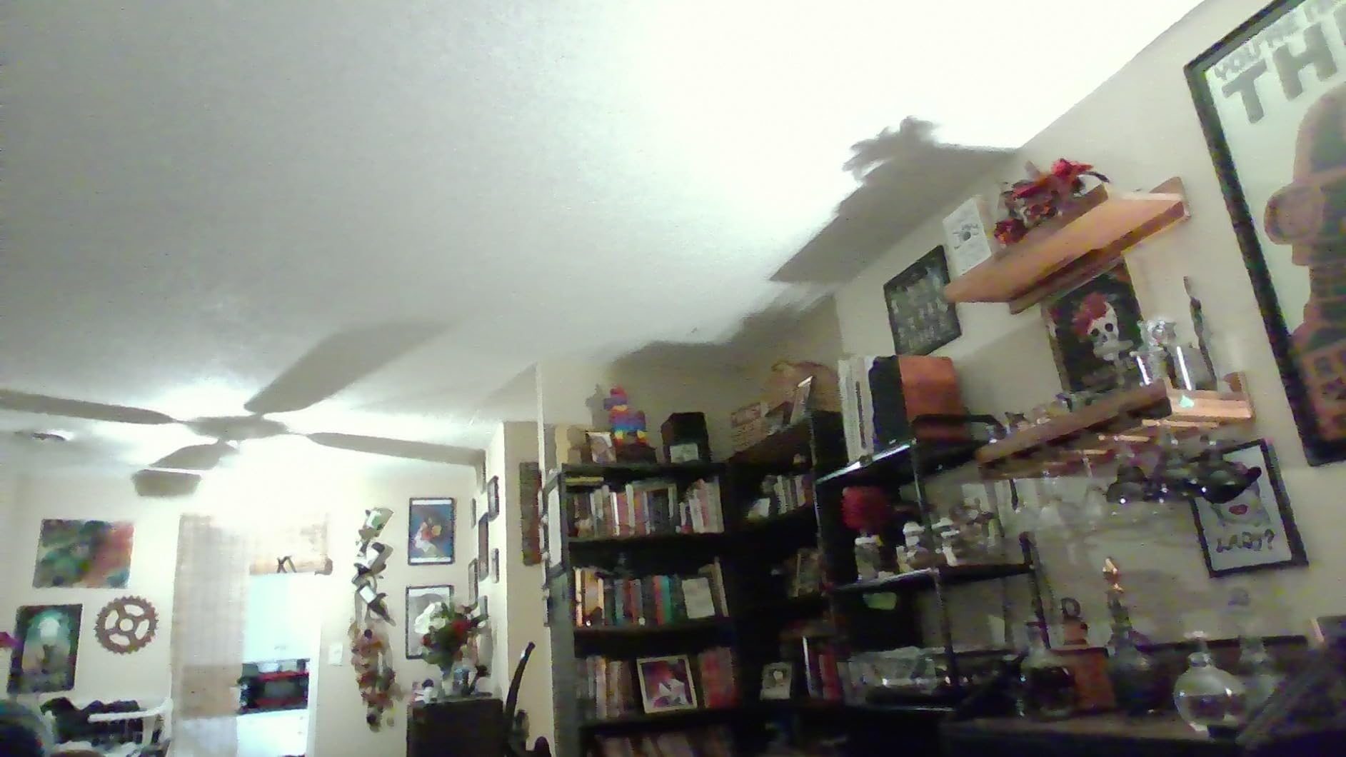 Acer Predator Triton 14 Gaming/Creator Laptop | 13th Gen Intel i7-13700H | NVIDIA GeForce RTX 4050 | 14