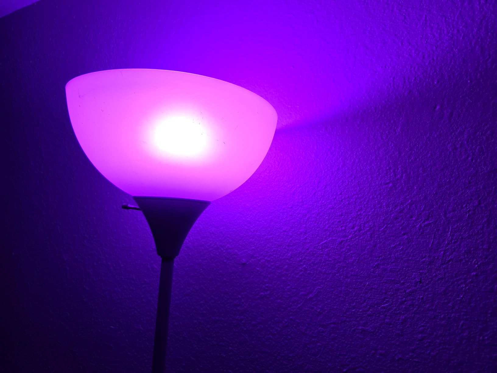 Govee LED Smart Light Bulbs, 1000LM Color Changing Light Bulb, Wi-Fi & Bluetooth Light Bulbs, Work with Alexa and Google Assistant, Dimmable RGBWW A19 75W Equivalent Smart Bulbs, 2 Pack - Customer Photo 2