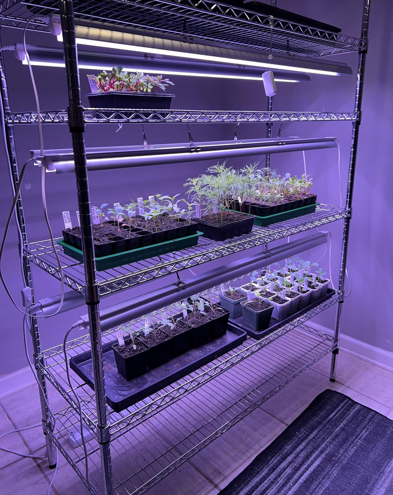 Amazon Basics Smart Plug Power Strip with 6 Individually Controlled Outlets and 3 USB Ports (2 USB-A and 1 USB-C), Works with Alexa Only, 2.4 GHz Wi-Fi, No Hub Required, White Customer Review Amazon Basics Smart Plug Power Strip with 6 Individually Controlled Outlets and 3 USB Ports (2 USB-A and 1 USB-C), Works with Alexa Only, 2.4 GHz Wi-Fi, No Hub Required, White - Customer Photo 1