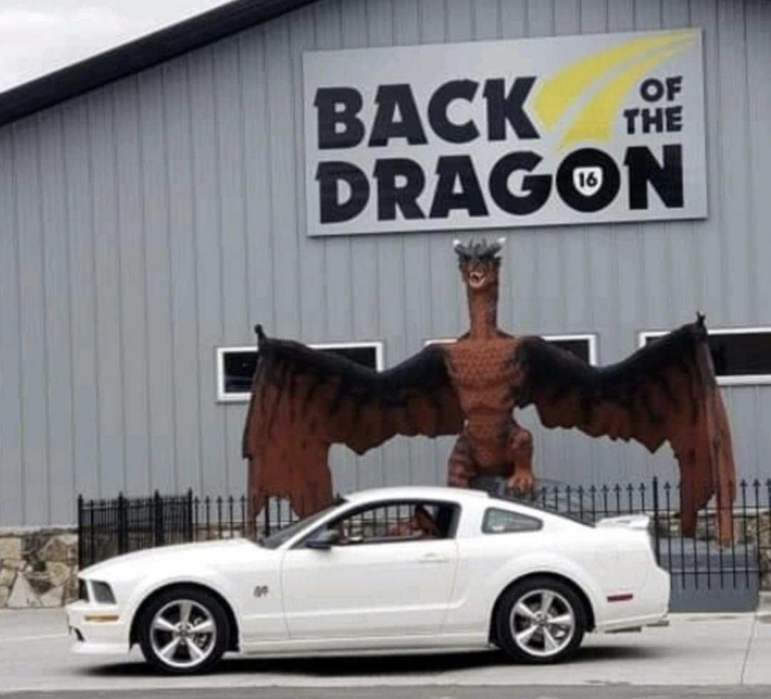 AKASO Brave 4 Action Camera 4K 30fps with 64GB MicroSD U3 Card Bicycle Helmet Accessories Kit Bundle, 20MP Ultra HD 131FT Waterproof Underwater Camera EIS WiFi Remote Control 5X Zoom Sport Cameras Customer Review AKASO Brave 4 Action Camera 4K 30fps with 64GB MicroSD U3 Card Bicycle Helmet Accessories Kit Bundle, 20MP Ultra HD 131FT Waterproof Underwater Camera EIS WiFi Remote Control 5X Zoom Sport Cameras - Customer Photo 1