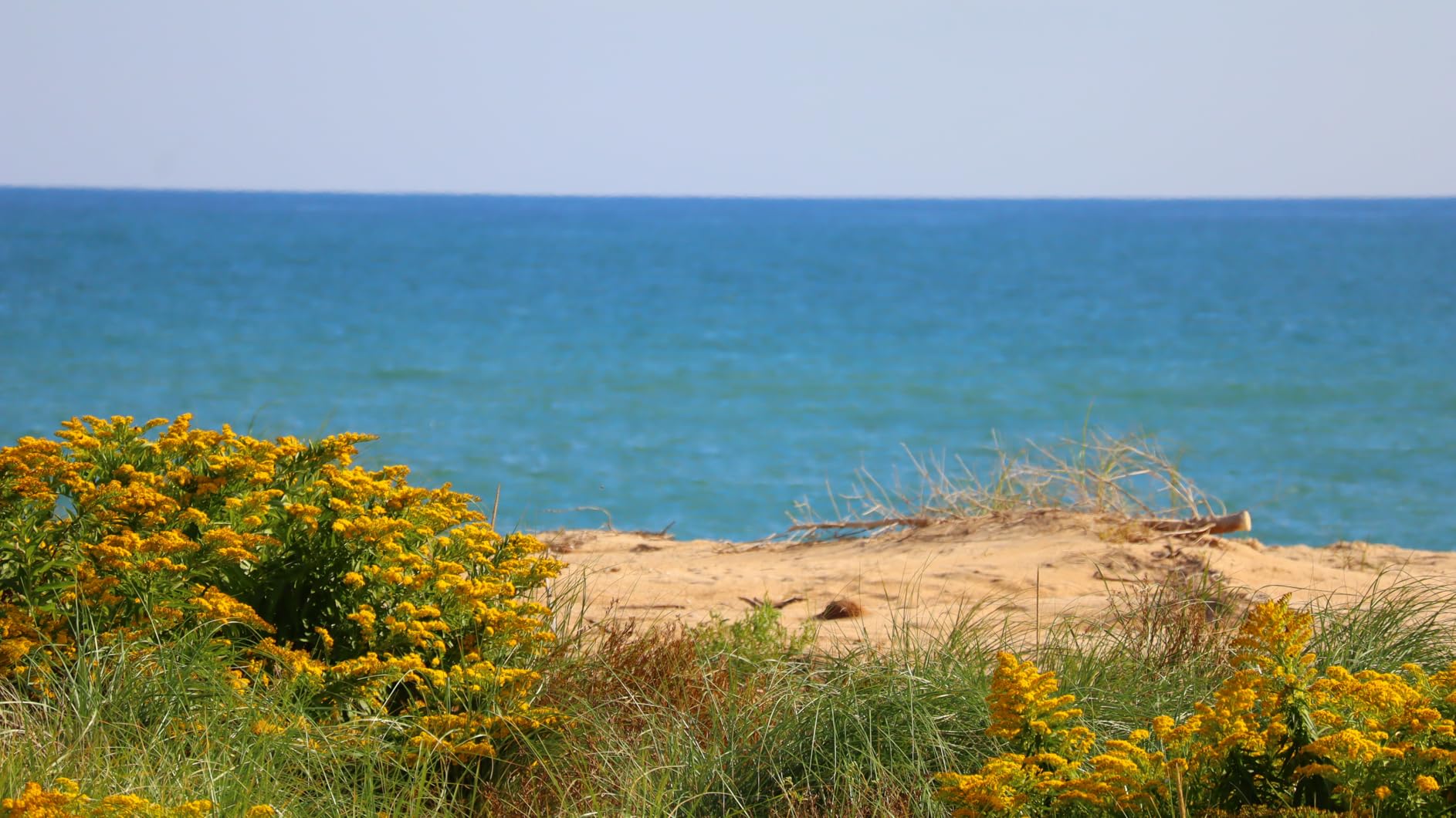 Canon EOS R100 Mirrorless Camera RF-S18-45mm F4.5-6.3 is STM Lens Kit, 24.1 Megapixel CMOS (APS-C) Sensor, 4K Video, RF Mount, Black Customer Review Canon EOS R100 Mirrorless Camera RF-S18-45mm F4.5-6.3 is STM Lens Kit, 24.1 Megapixel CMOS (APS-C) Sensor, 4K Video, RF Mount, Black - Customer Photo 2