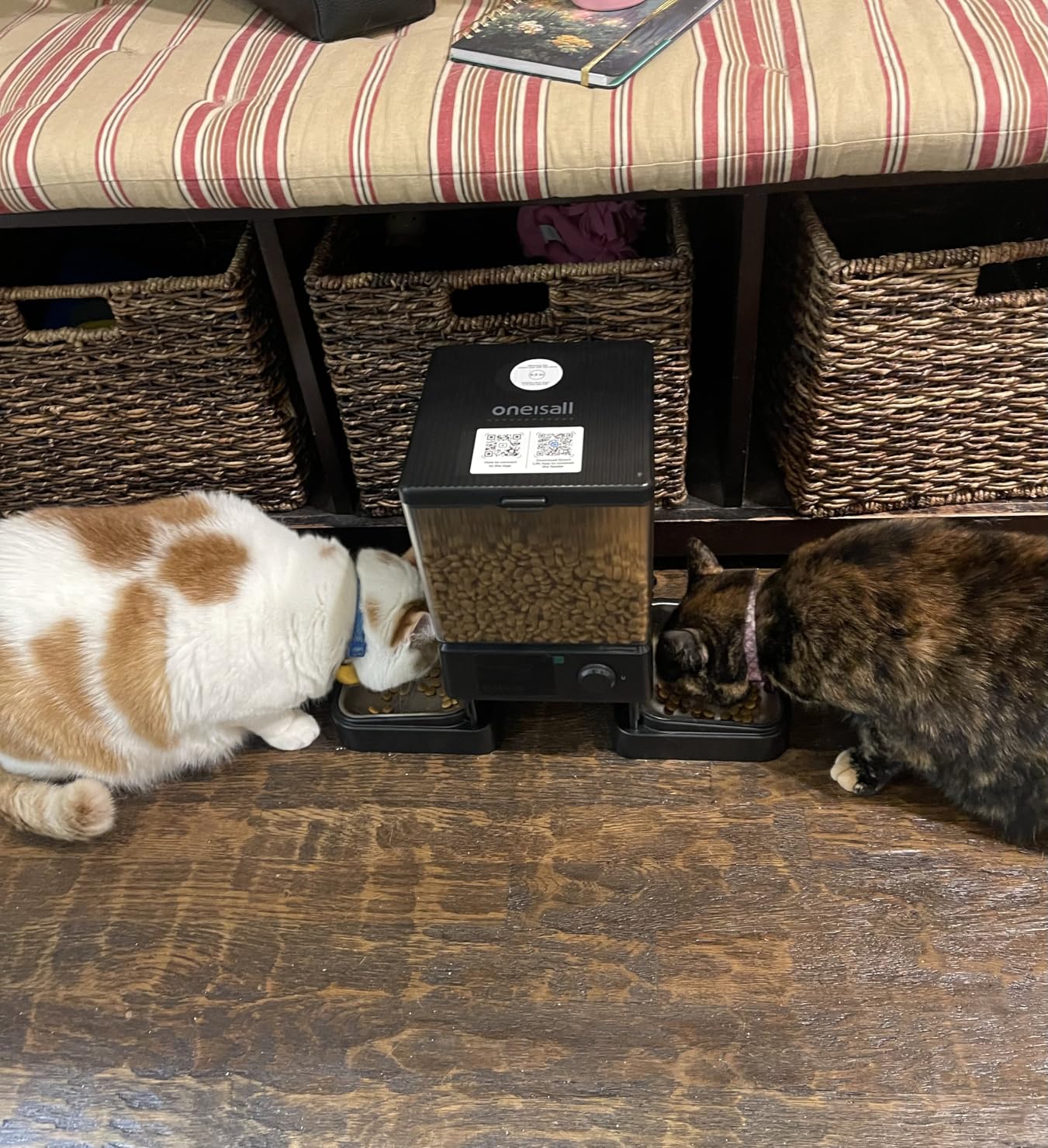 oneisall Automatic Cat Feeder with 5G WiFi, Automatic Cat Food Dispenser for 2 Cats Small Pets, 20 Cups/5L Timed Dry Food Dispenser with APP Control - Customer Photo 1