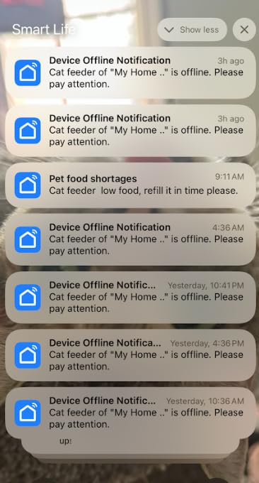 oneisall Automatic Cat Feeder with 5G WiFi, Automatic Cat Food Dispenser for 2 Cats Small Pets, 20 Cups/5L Timed Dry Food Dispenser with APP Control - Customer Photo 3