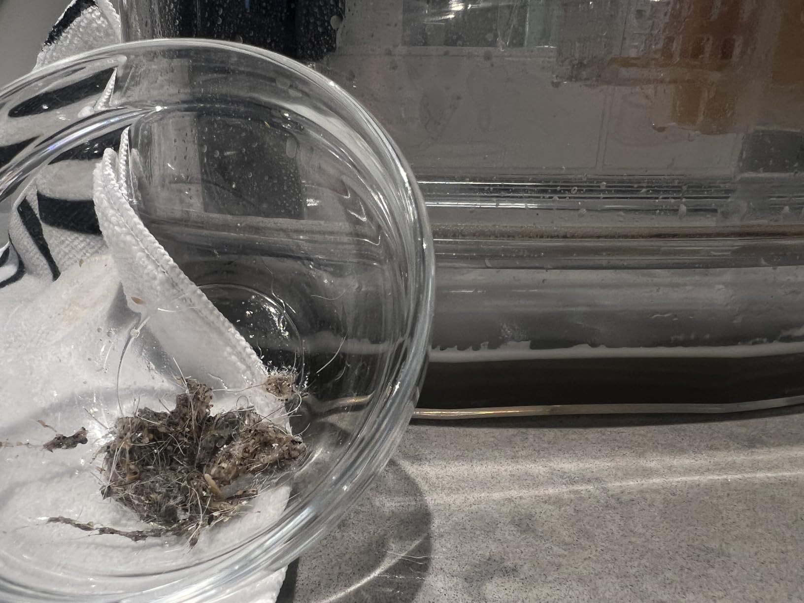 Shark StainStriker Portable Carpet, Upholstery & Area Rug Cleaner with Pet Mess Tool, Stain & Odor Remover, Perfect for Car Interiors, Includes 3 Cleaning Tools & Cleaning Solution, White, PX201 - Customer Photo 1