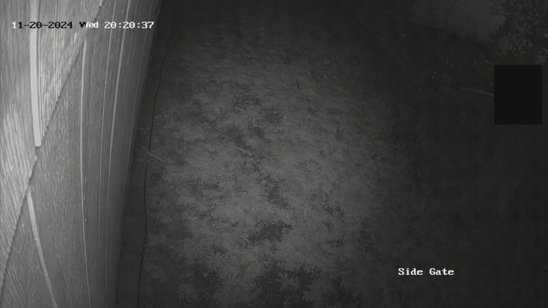 ZOSI 5MP 8CH Wired PoE Security Camera System with Audio, 4pcs Outdoor PoE Cameras, Night Vision, H.265+ 8 Channel 5MP 3K Home NVR with 1TB HDD for 24/7 Recording, No ISED is Provided - Customer Photo 2