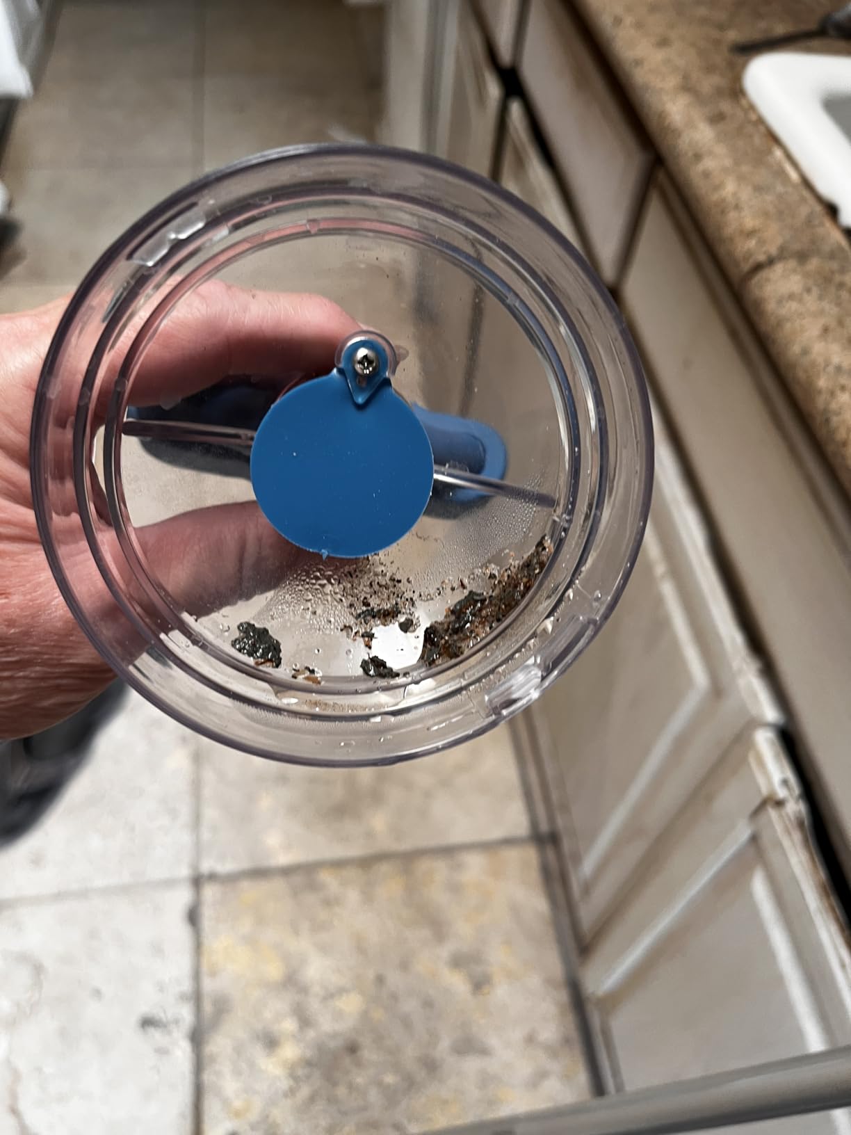 KOKIDO (2025) Rechargeable Handheld Pool Spa Vacuum, Aluminum Pole and 2 Brush Heads, Ideal for Pools up to 20ft, Cordless 60 mins Spot Cleaning, Above Ground Pool, Hot Tub & Spa XV110 - Customer Photo 2