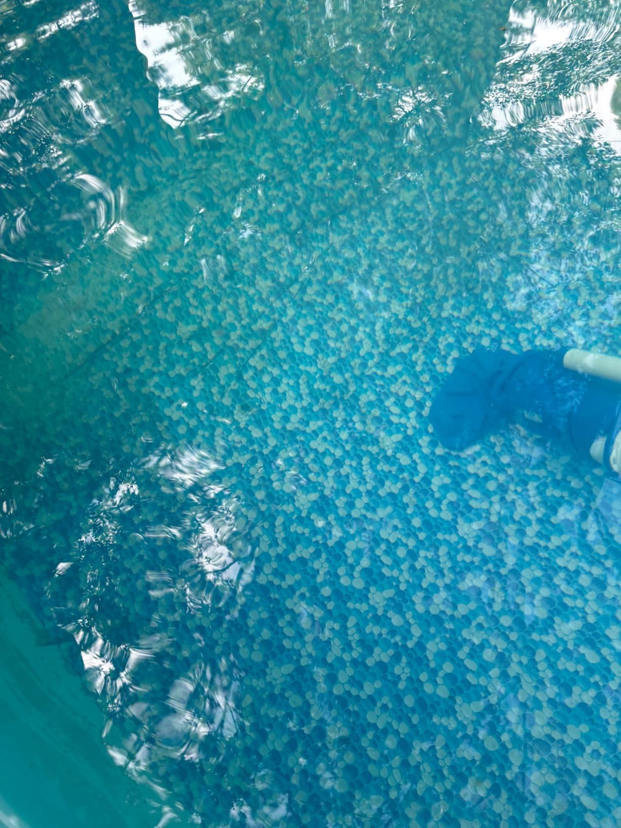 POOL BLASTER Catfish Ultra (Gen 2) Cordless Pool Vacuum, Increased Power & Capacity, Rechargeable, Manual, Battery-Powered, Swimming Pool Cleaner Ideal for Inground & Above Ground Pools, by Water Tech - Customer Photo 3