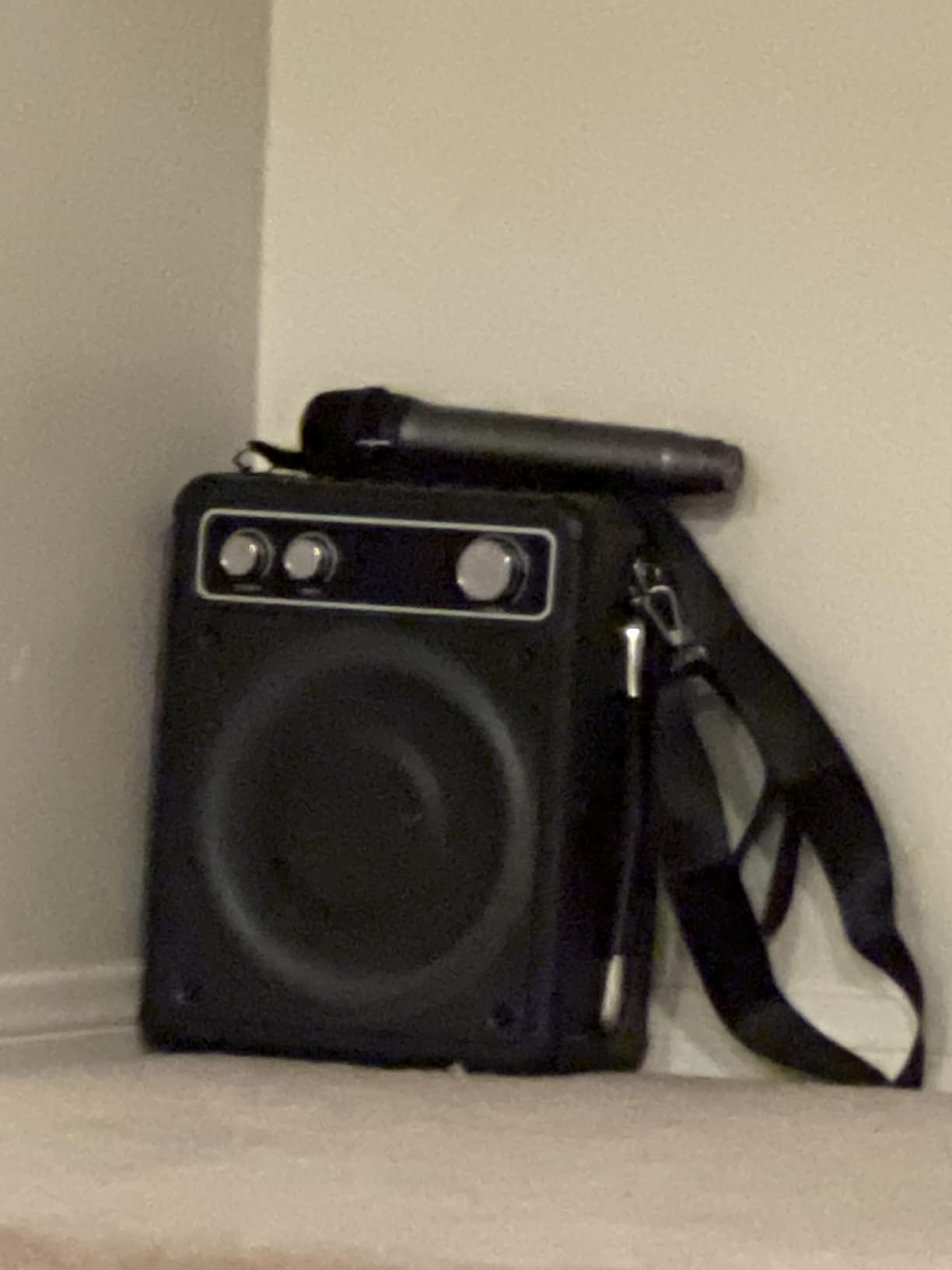 Karaoke Machine, Portable Bluetooth Karaoke Speaker with 2 Wireless Microphones, PA System for Adults Kids with LED Lights & Echo Adjustment, Supports TWS/TF/USB/AUX for Home Party customer photo 1