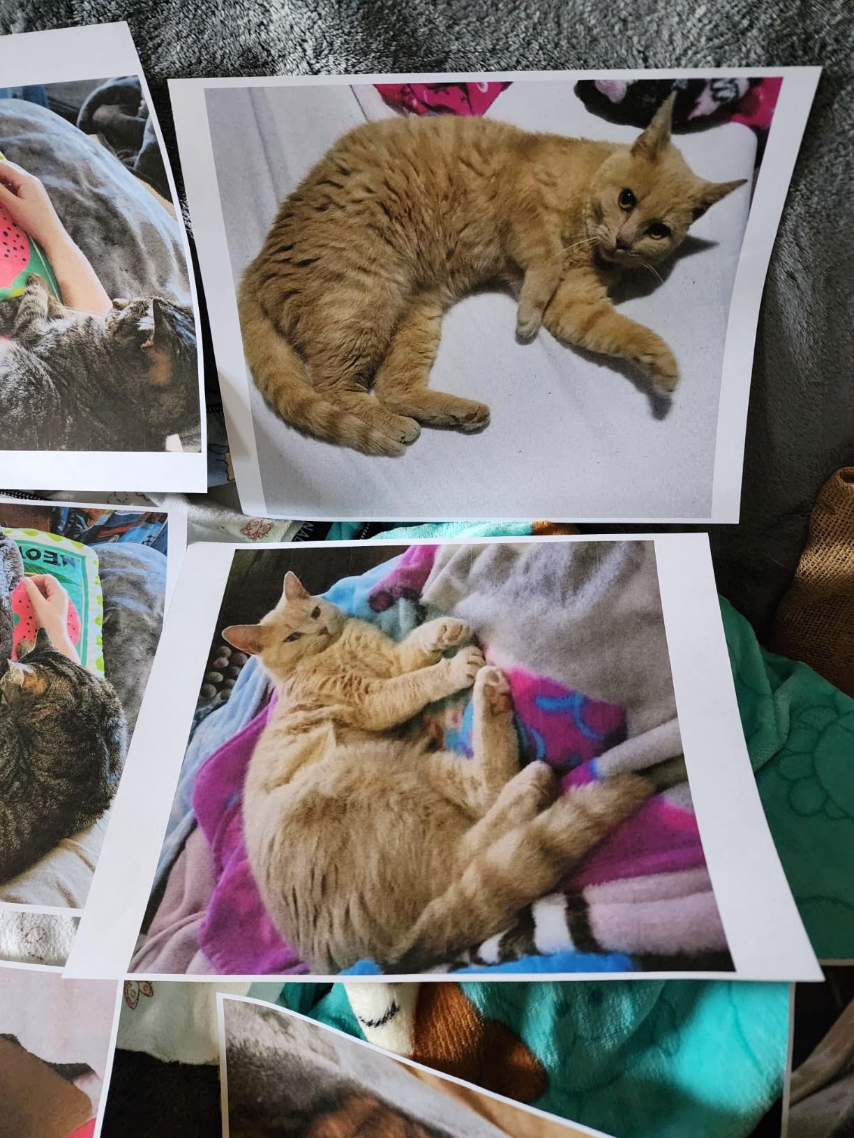 HP OfficeJet Pro 9125e Wireless All-in-One Color Inkjet Printer, Print, scan, copy, fax, ADF, Duplex printing best-for-office, 3 month Instant Ink trial included, AI-enabled (403X0A) Customer Review HP OfficeJet Pro 9125e Wireless All-in-One Color Inkjet Printer, Print, scan, copy, fax, ADF, Duplex printing best-for-office, 3 month Instant Ink trial included, AI-enabled (403X0A) - Customer Photo 1